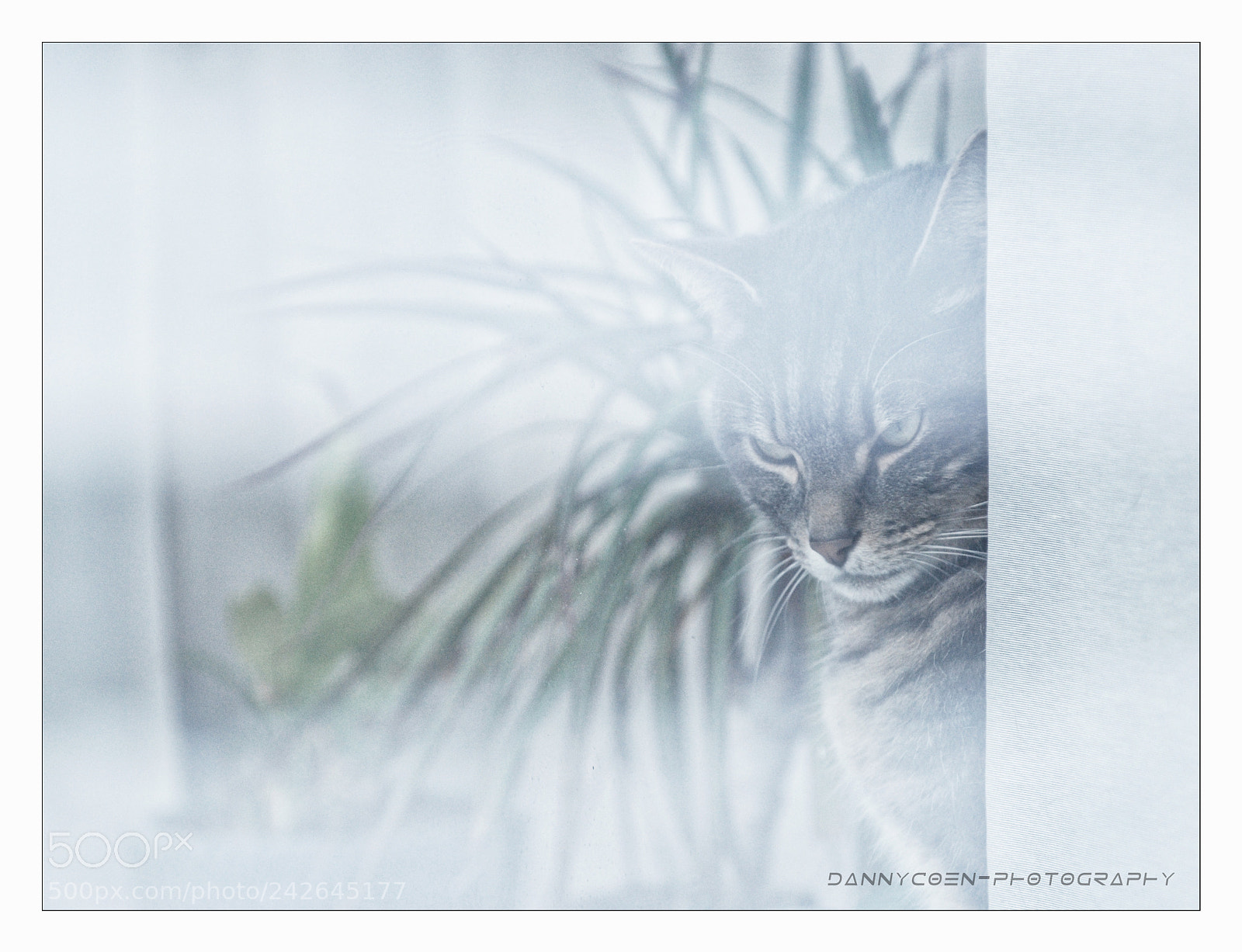 Nikon D80 sample photo. Observing. photography