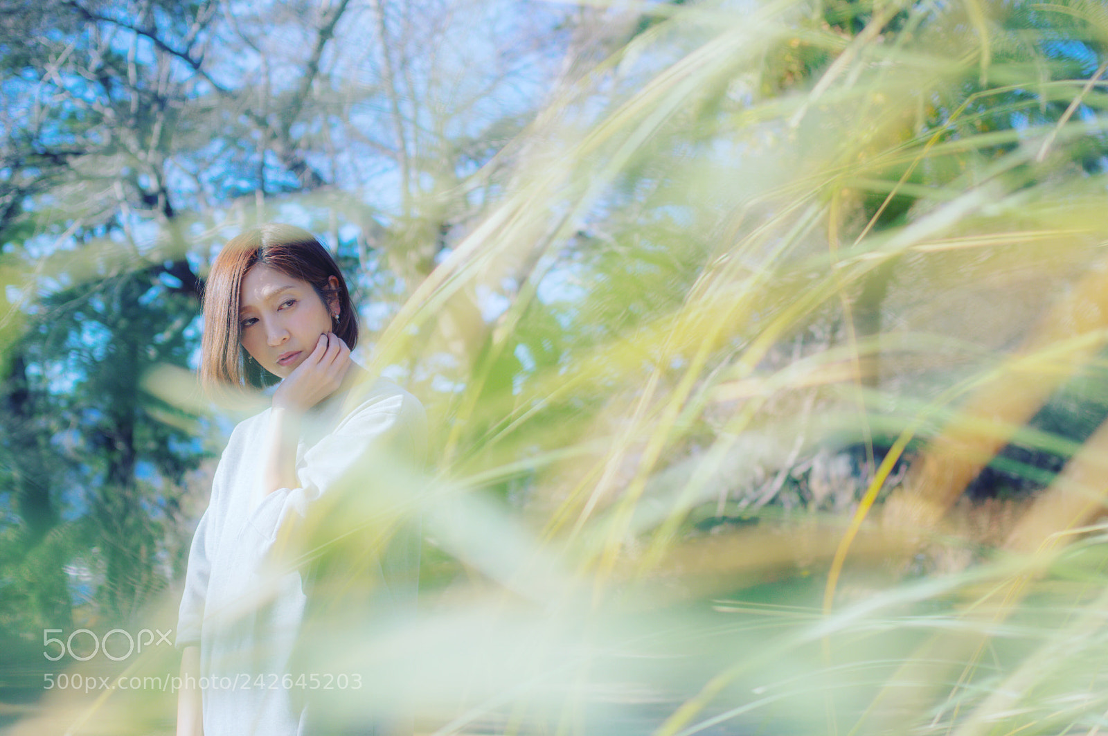 Pentax K-3 sample photo. 【life is cool.6】 photography