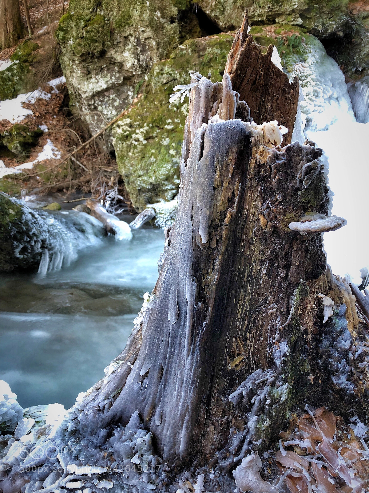 Apple iPhone 8 Plus sample photo. Ice bath photography