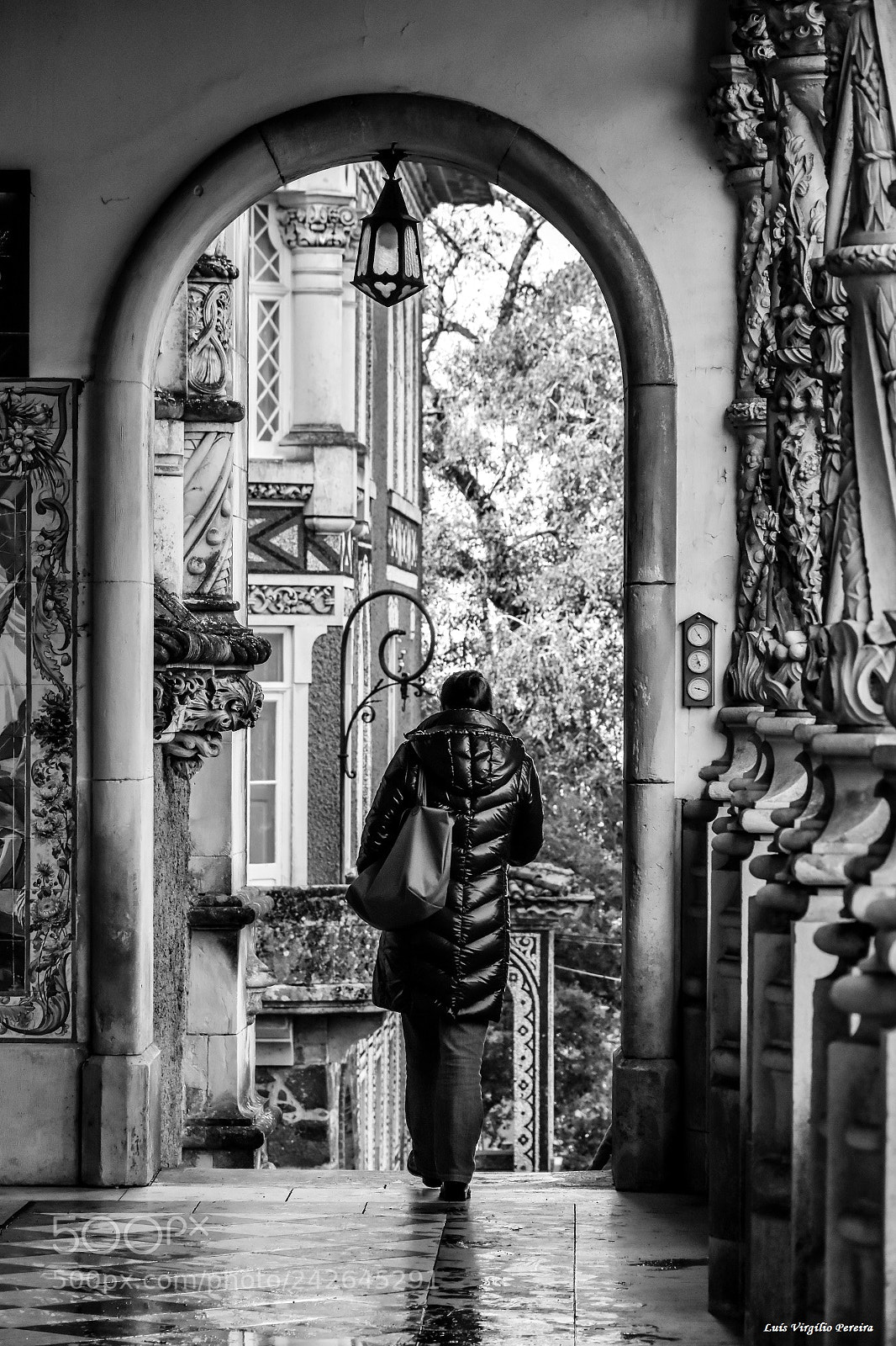 Nikon D7200 sample photo. Bussaco photography