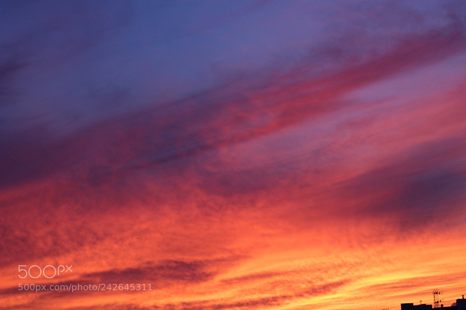 Canon EOS 100D (EOS Rebel SL1 / EOS Kiss X7) sample photo. Sky on fire photography