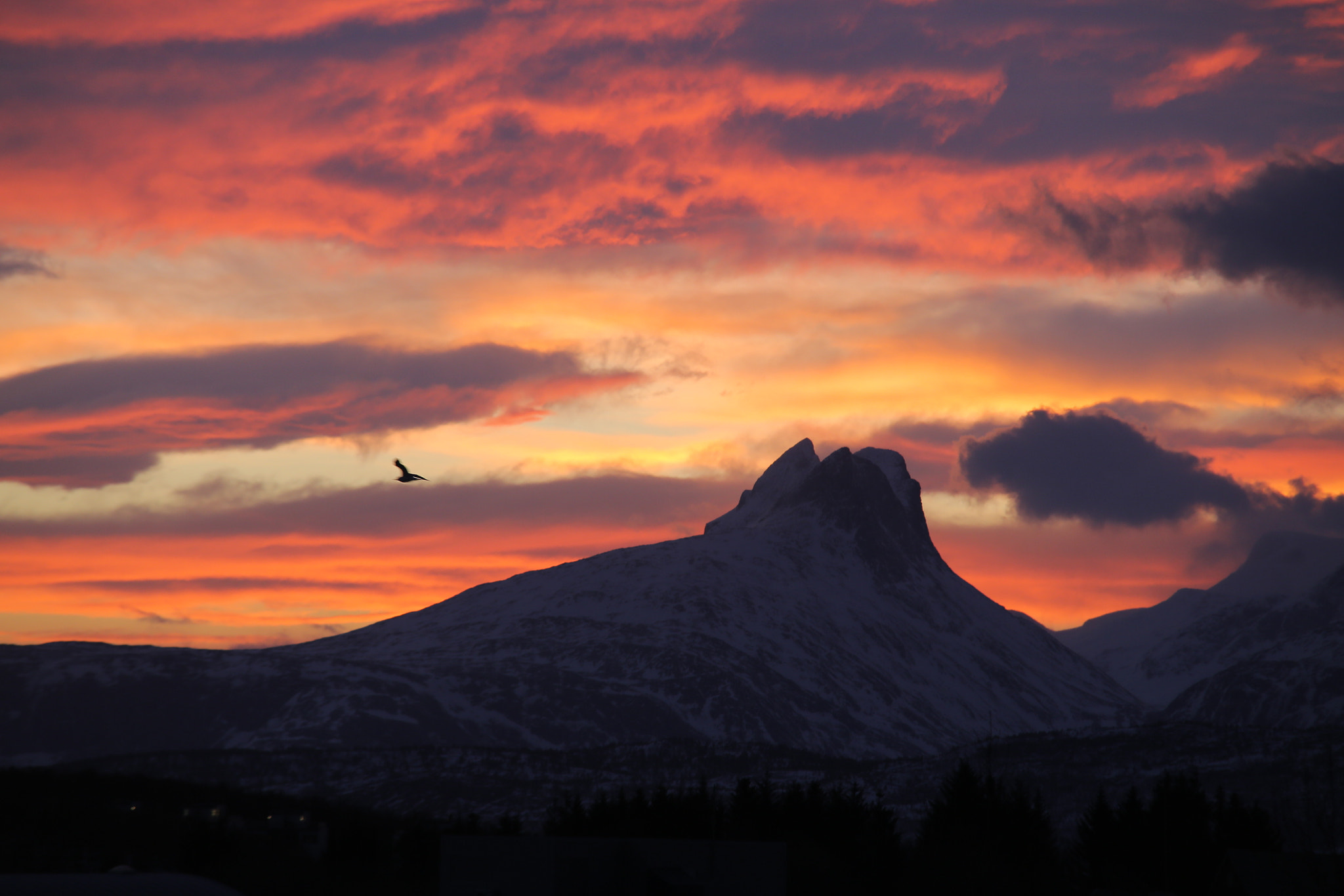 Canon EOS 6D + Sigma 70-200mm F2.8 EX DG OS HSM sample photo. Beautiful sunrise in northernnorway photography