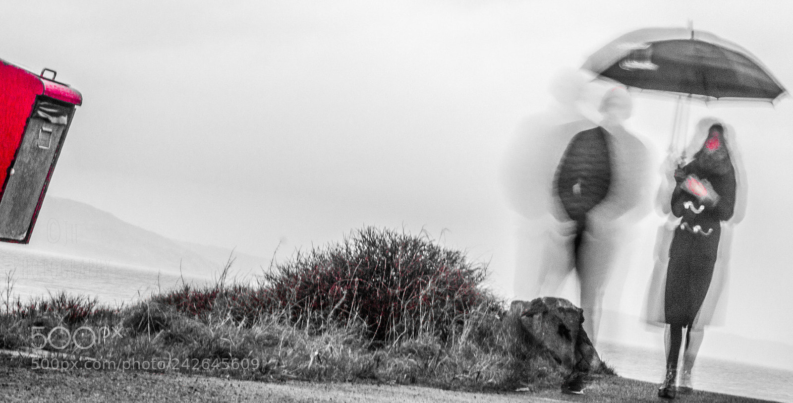 Canon EOS 750D (EOS Rebel T6i / EOS Kiss X8i) sample photo. Walk from fr hegarty photography