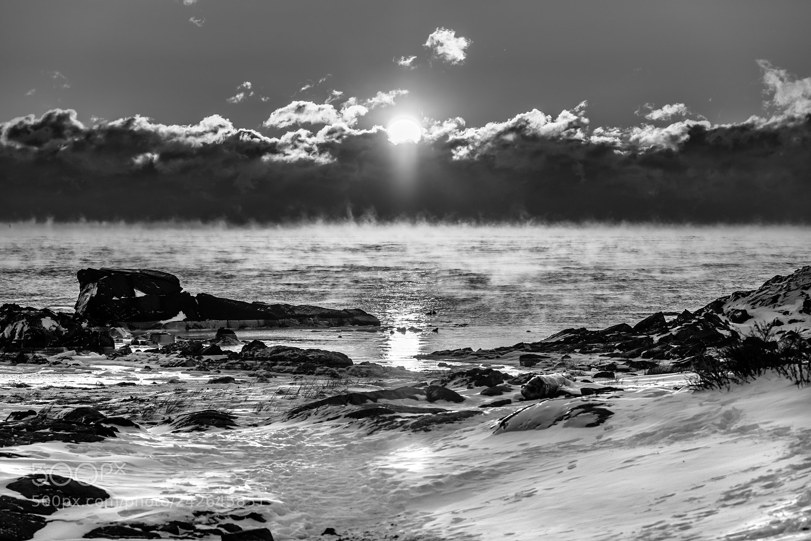 Pentax K-1 sample photo. Cold sea smoke photography