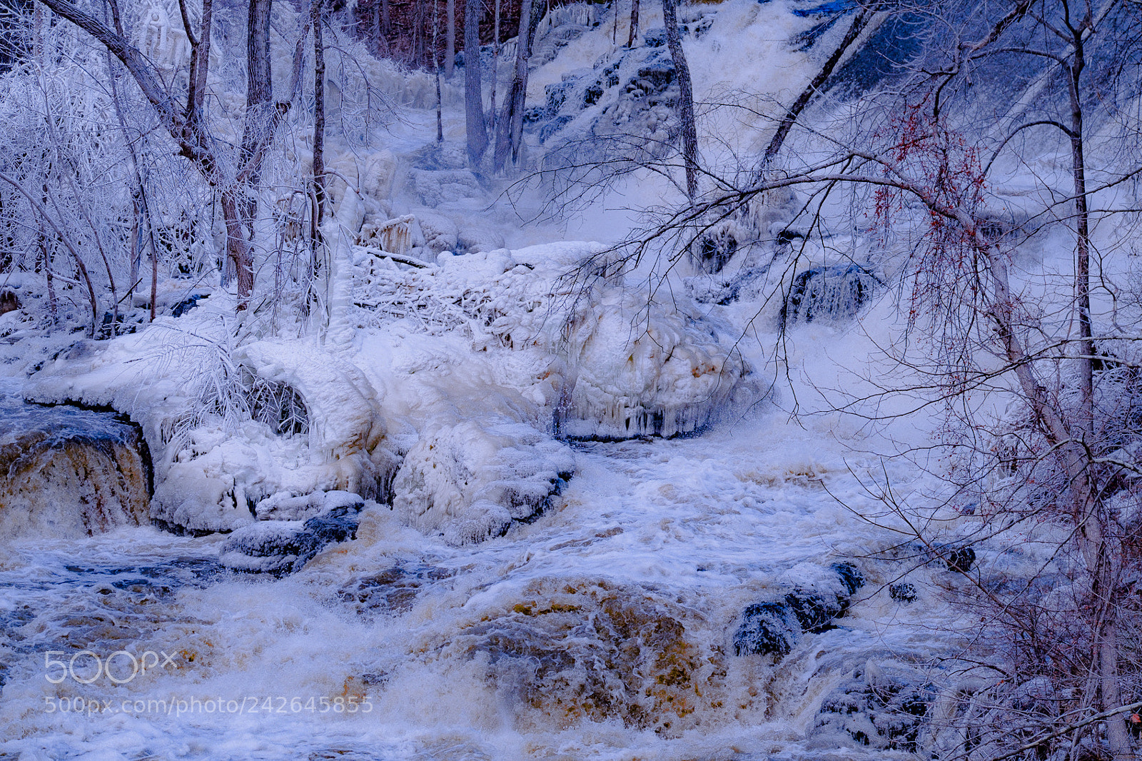 Fujifilm X-T20 sample photo. Ice at the bulls photography