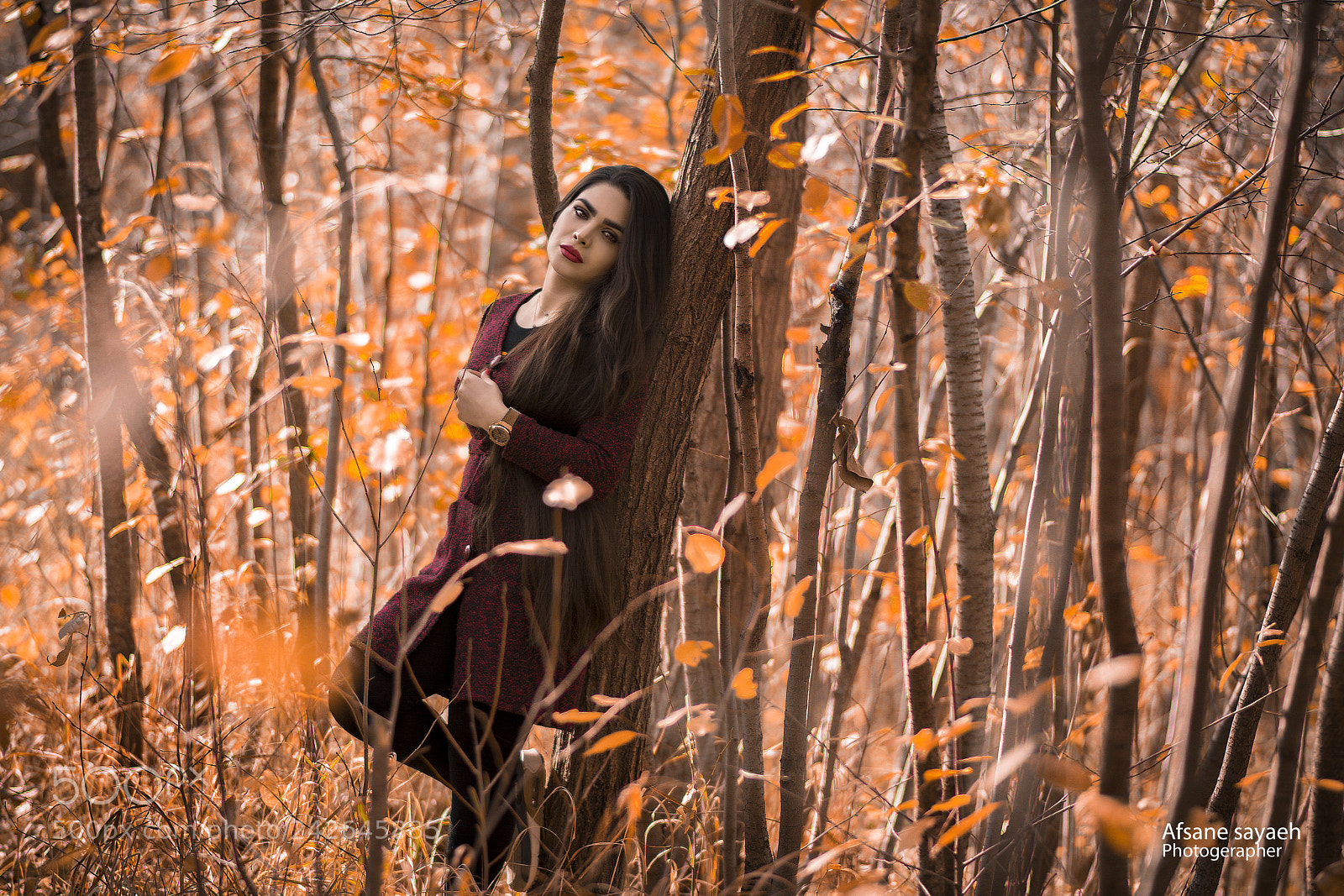 Nikon D7100 sample photo. Untitled photography