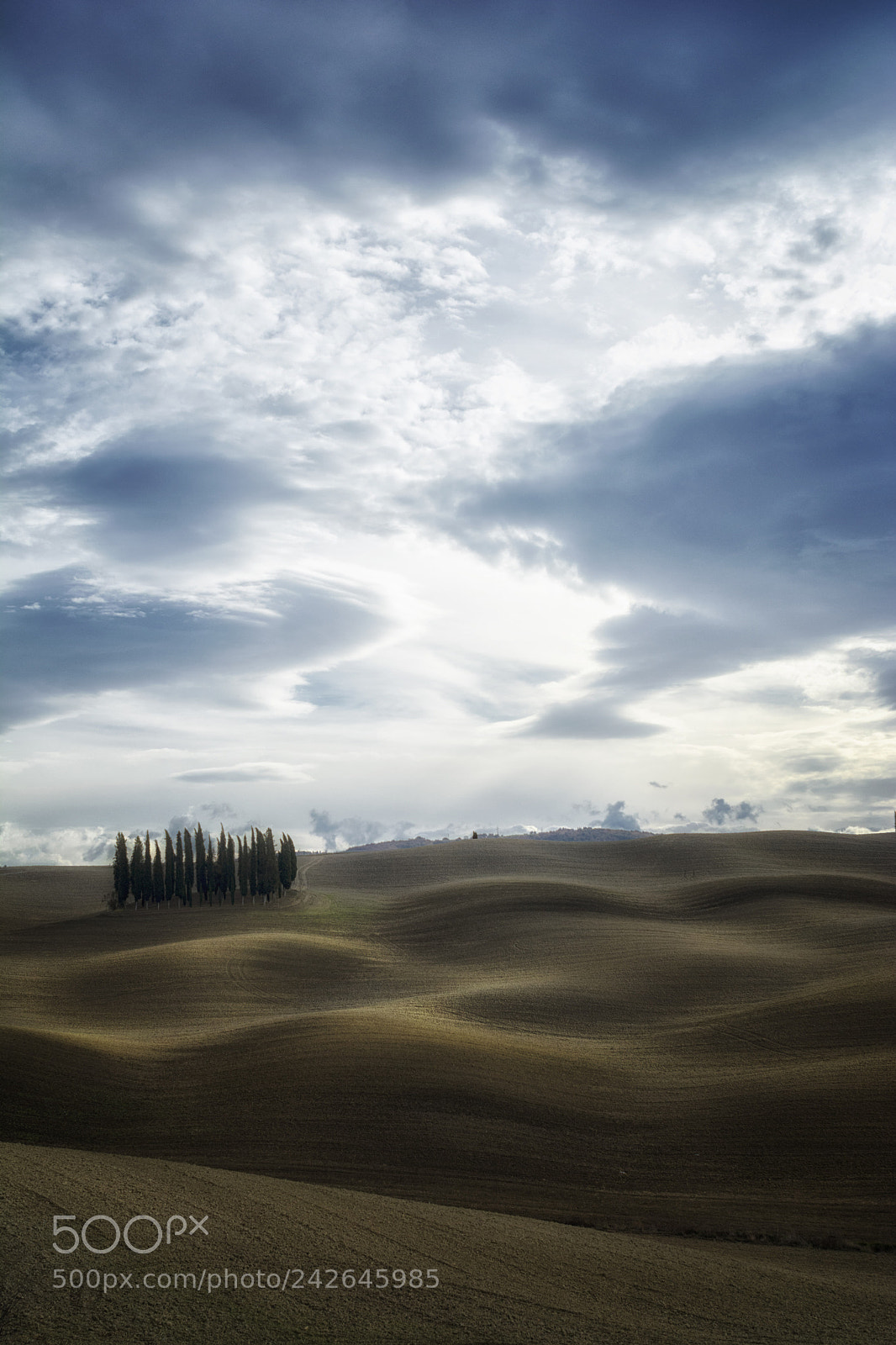 Nikon D7100 sample photo. Tuscan cypresses photography