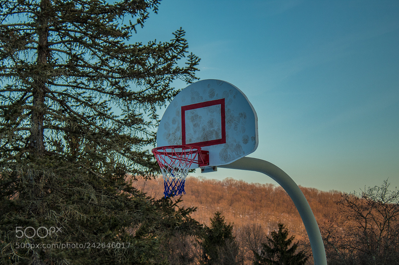 Canon EOS 1300D (EOS Rebel T6 / EOS Kiss X80) sample photo. Basketball hoop photography