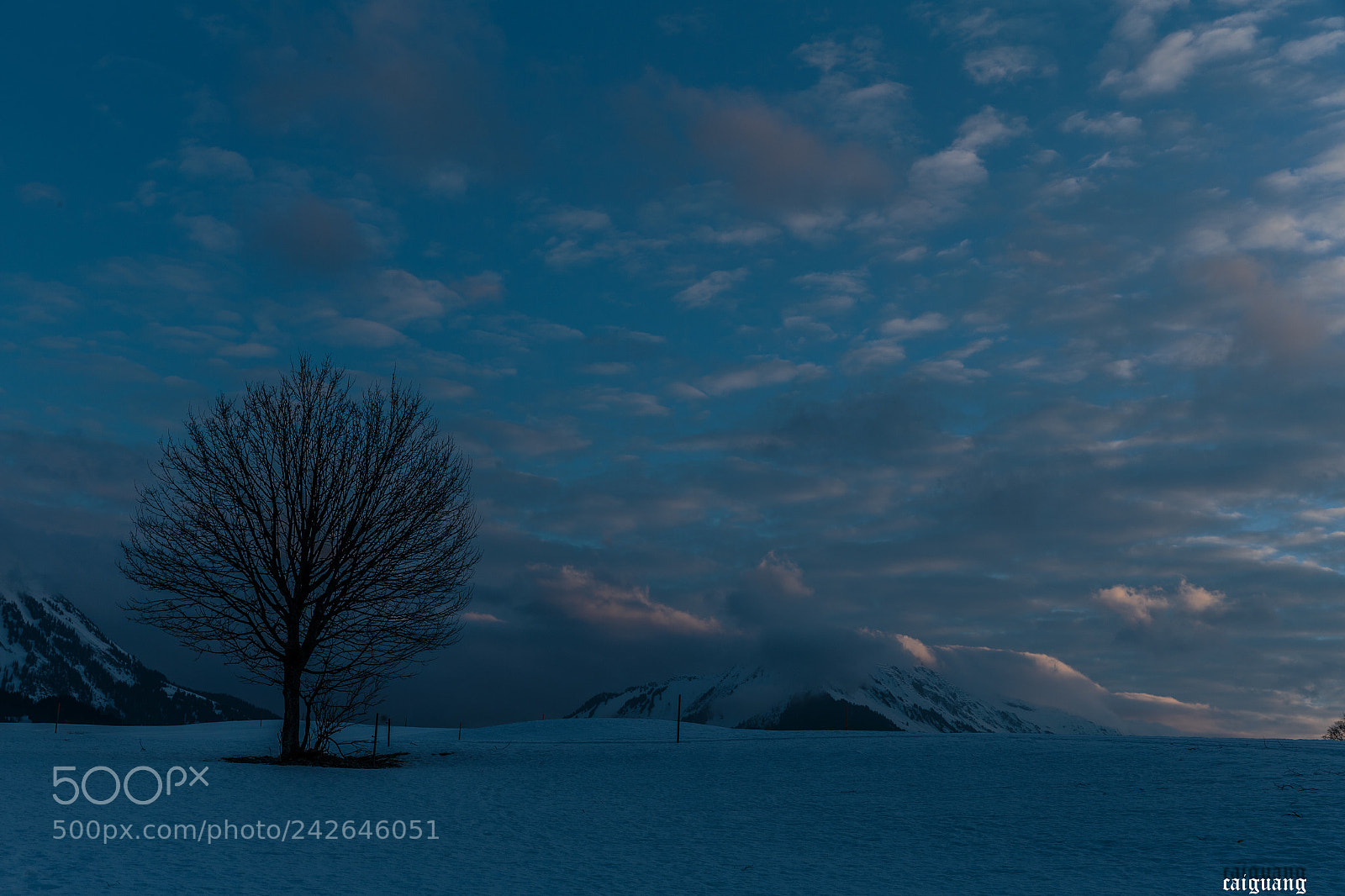 Canon EOS-1D X sample photo. Good morning alps3 photography