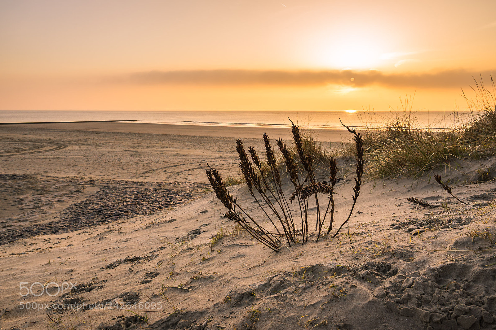 Sony a7 II sample photo. Borkum strand alteliebe photography