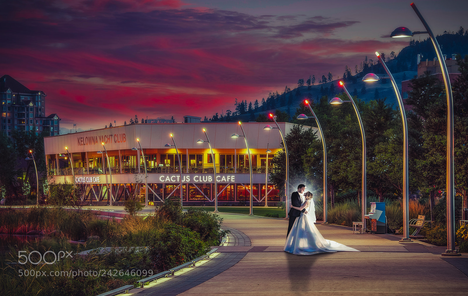 Nikon D810 sample photo. Under the lights photography