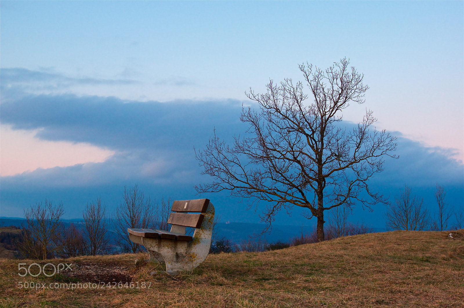 Pentax K-3 II sample photo. The bench photography