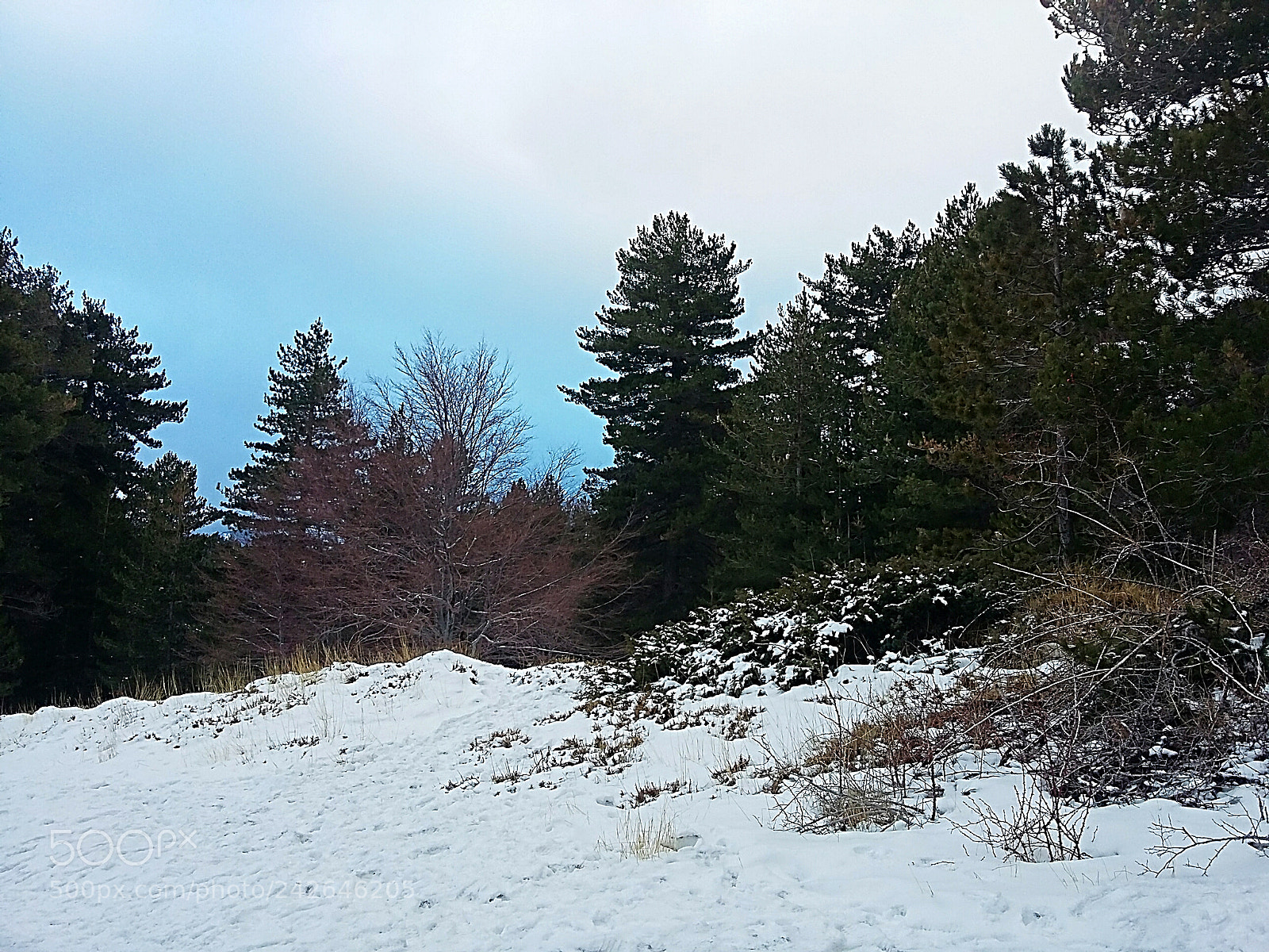Samsung Galaxy Grand Prime sample photo. Snow on the etna photography