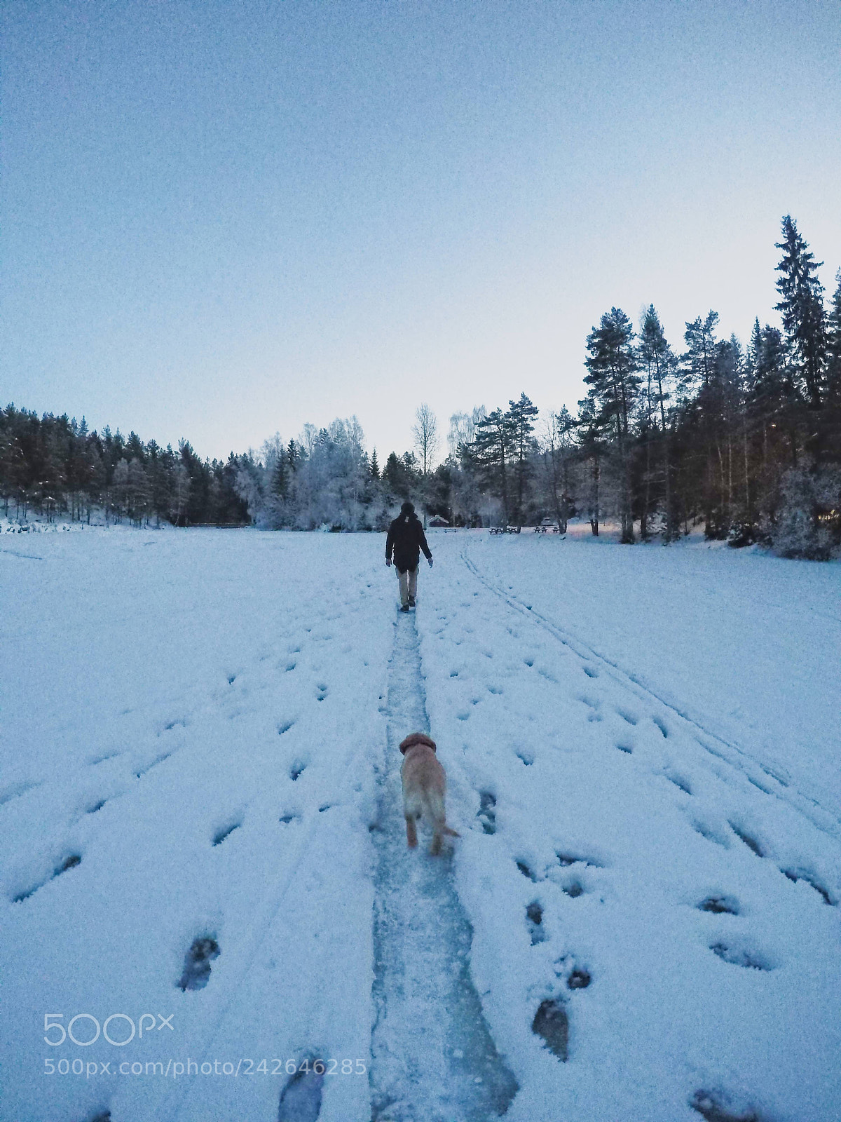 GoPro Hero5 Black sample photo. Frozen lake walk photography