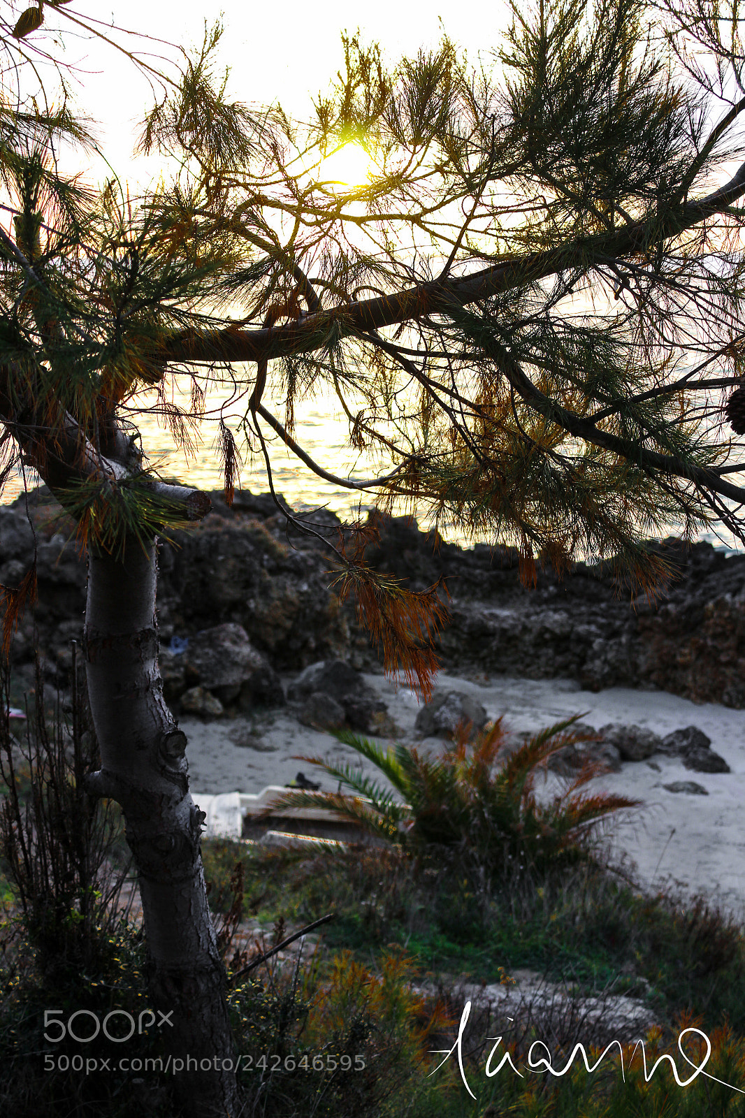 Canon EOS 1200D (EOS Rebel T5 / EOS Kiss X70 / EOS Hi) sample photo. Winter sunset at the photography