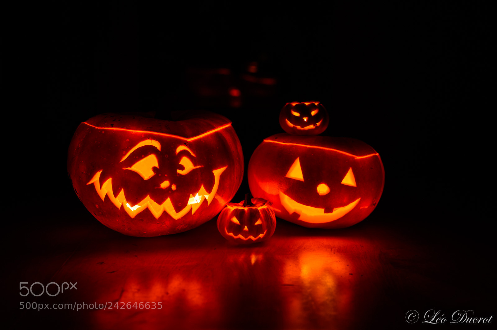Nikon D4 sample photo. The pumpkin familly.jpg photography