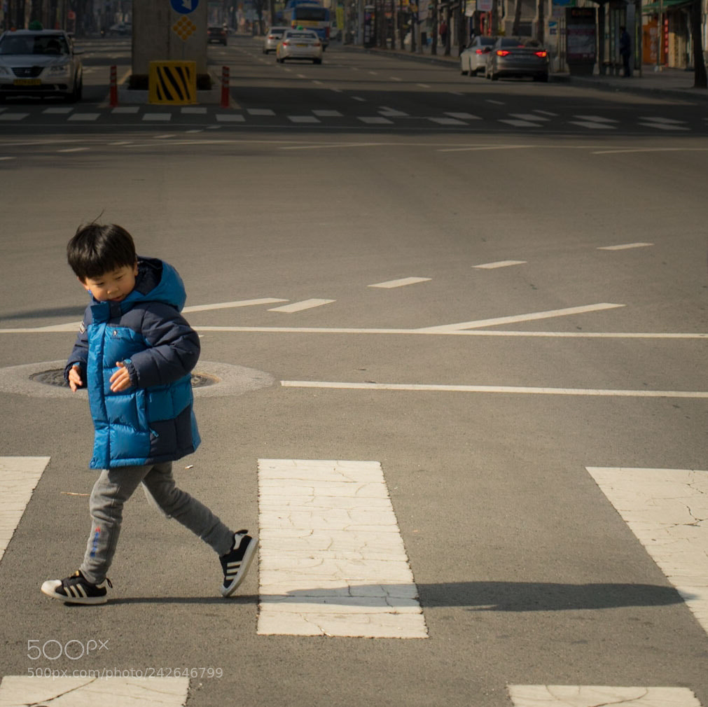 Sony a7 II sample photo. Catch me if u photography