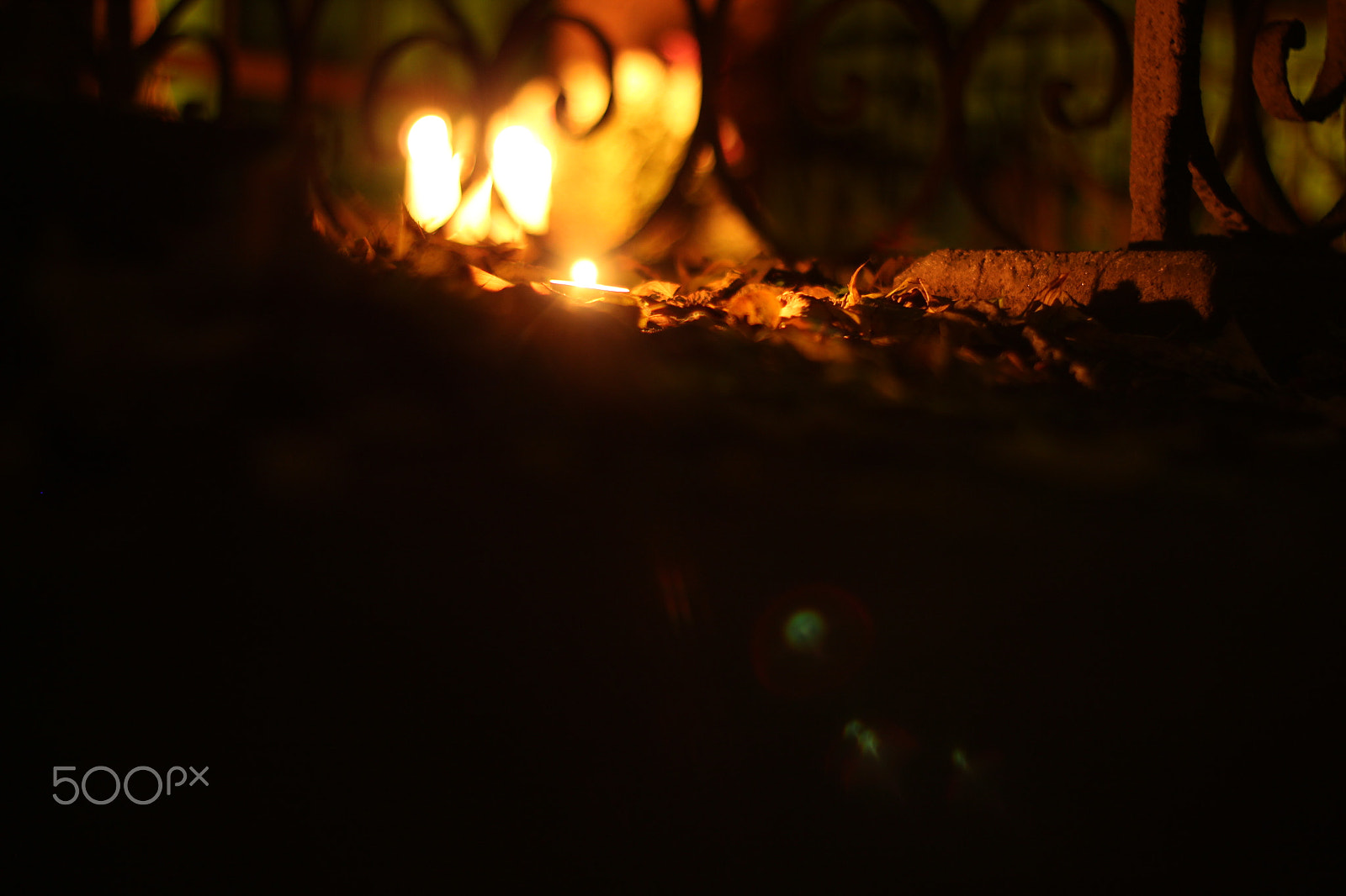 Canon 50mm sample photo. Bright photography