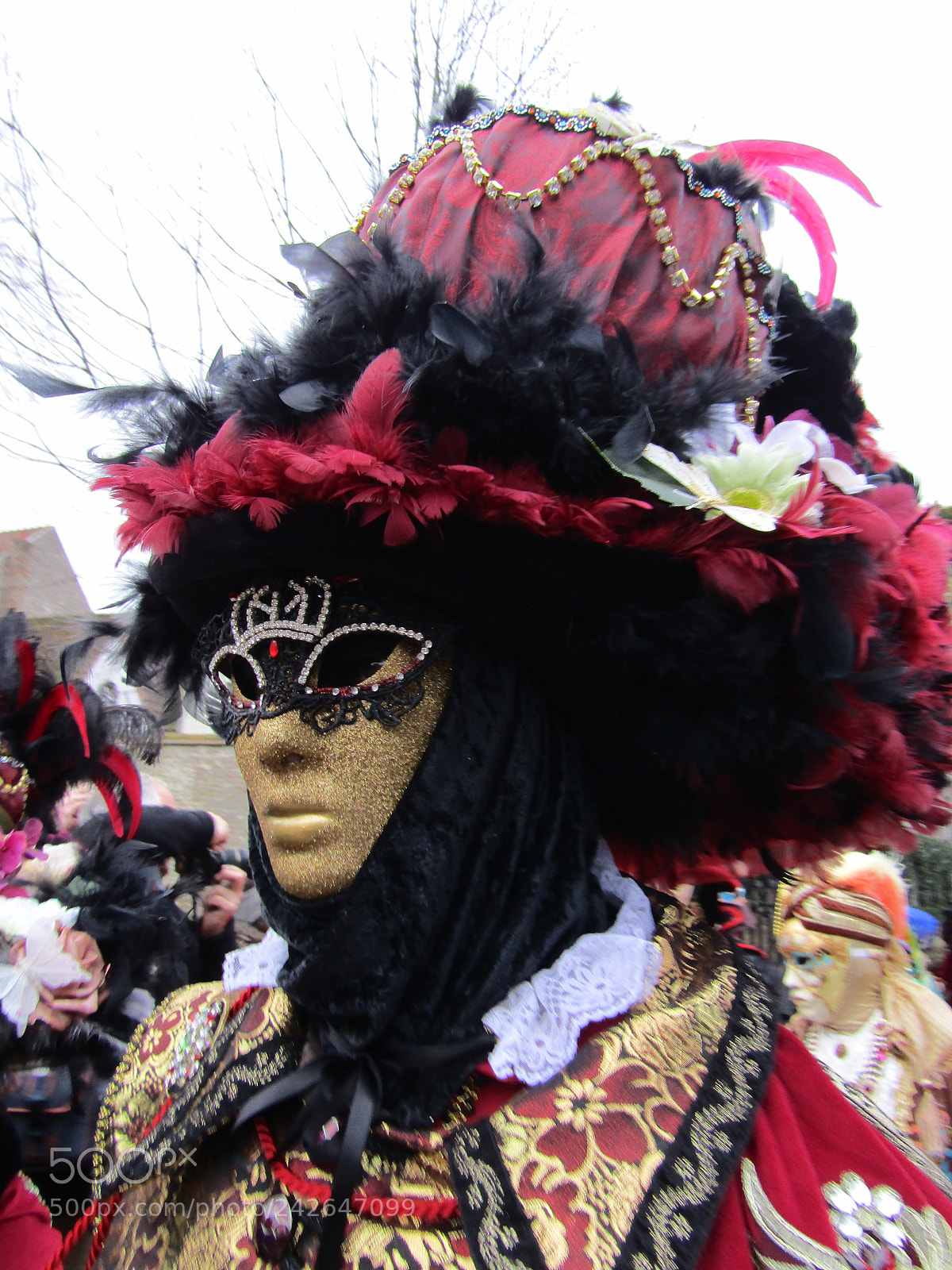 Canon PowerShot SX420 IS sample photo. Masque vénitien photography