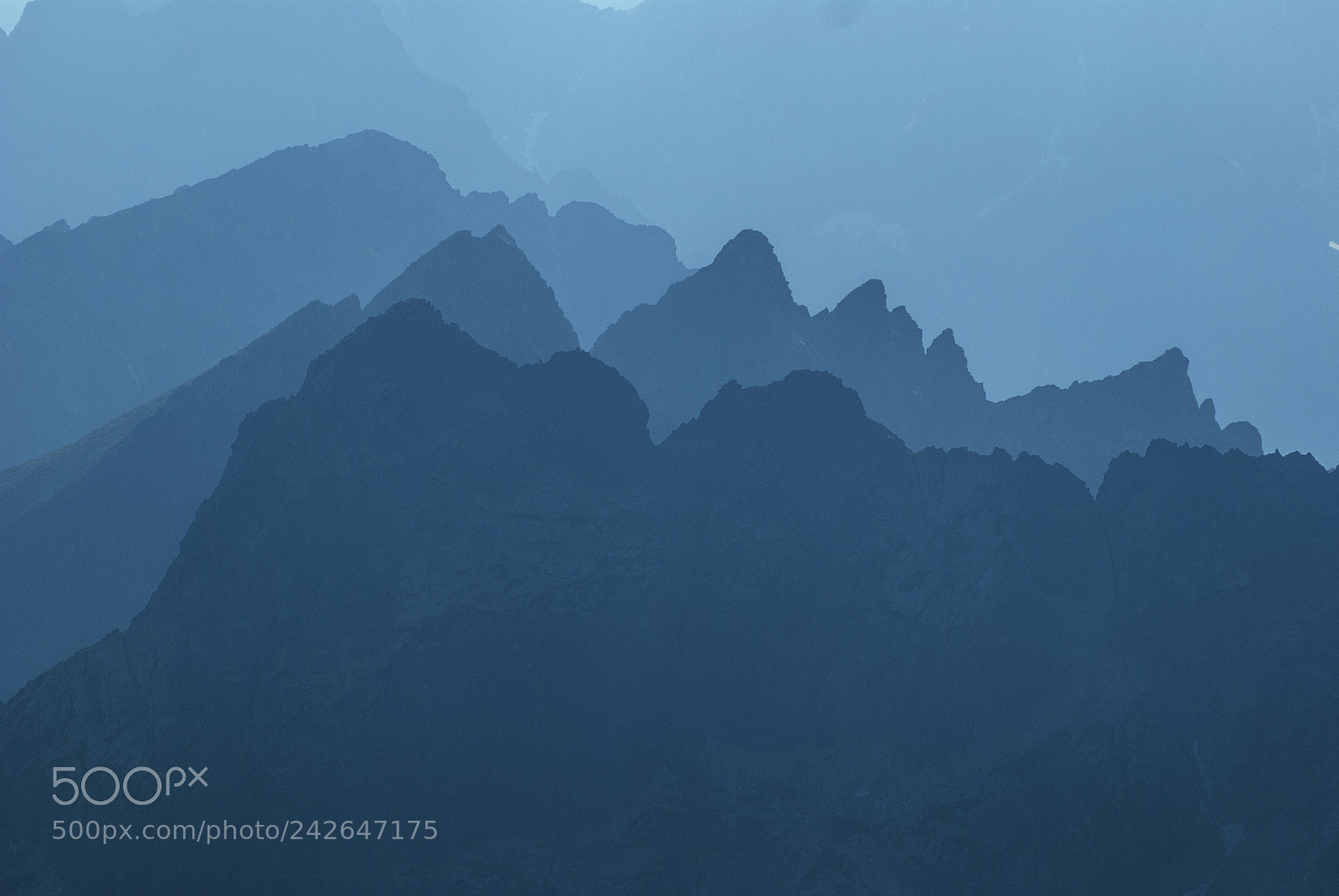 Nikon D80 sample photo. Mountains in the fog photography