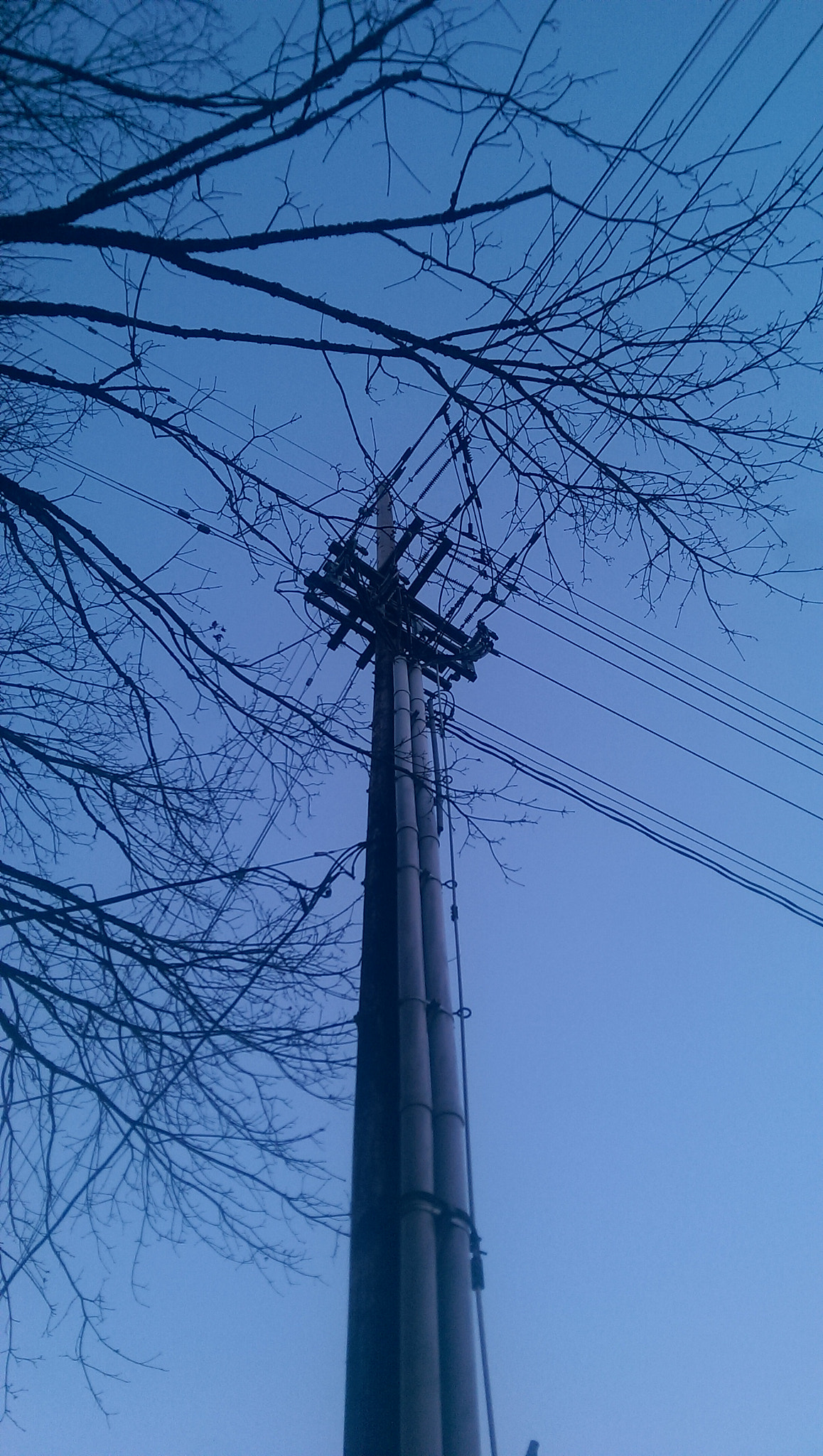 HTC ONE sample photo. Mesh photography