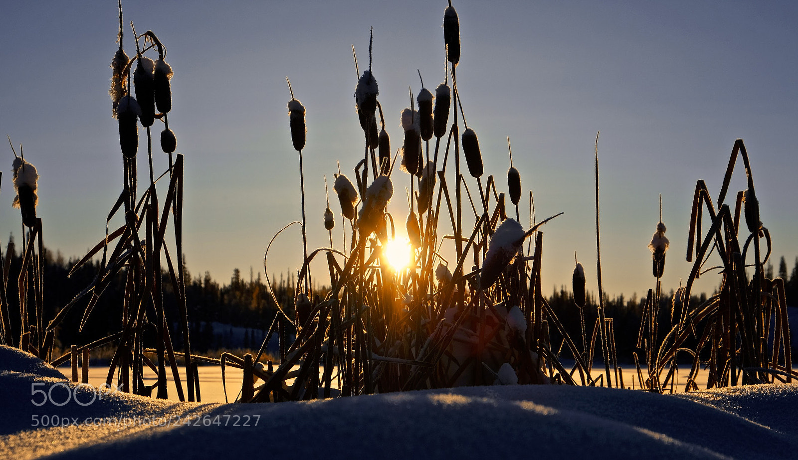 Fujifilm X-T2 sample photo. Yellowknife photography