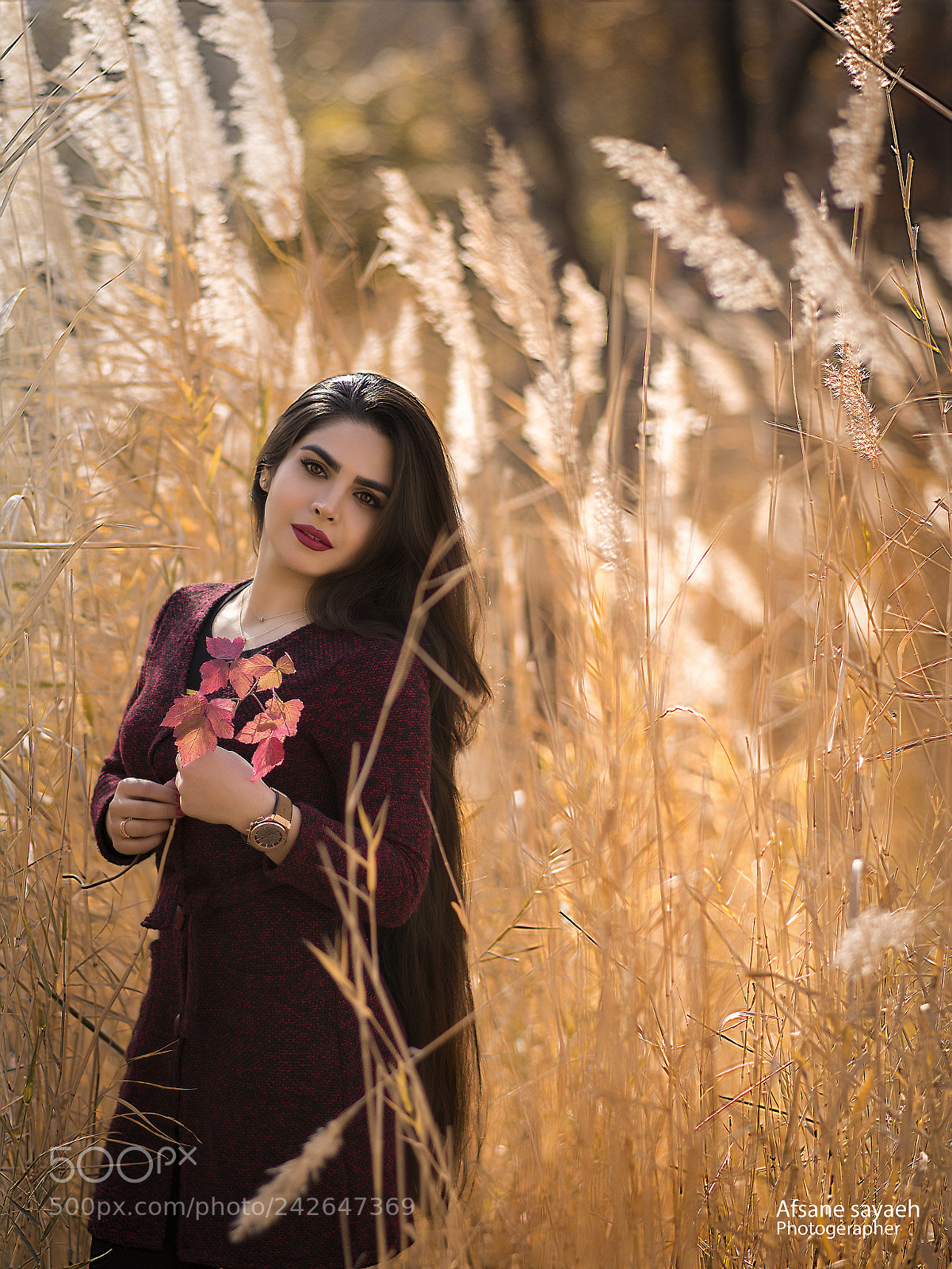 Nikon D7100 sample photo. Untitled photography