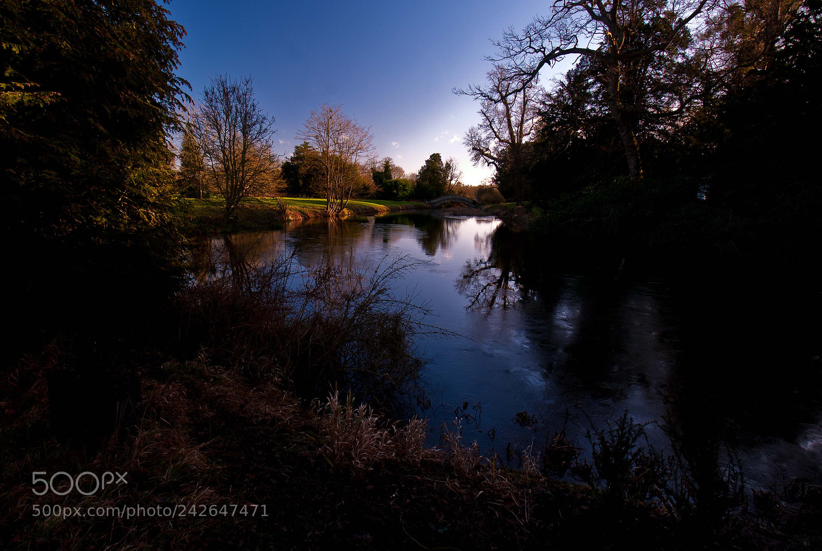 Nikon D300 sample photo. Chinese bridge,at wrest park photography