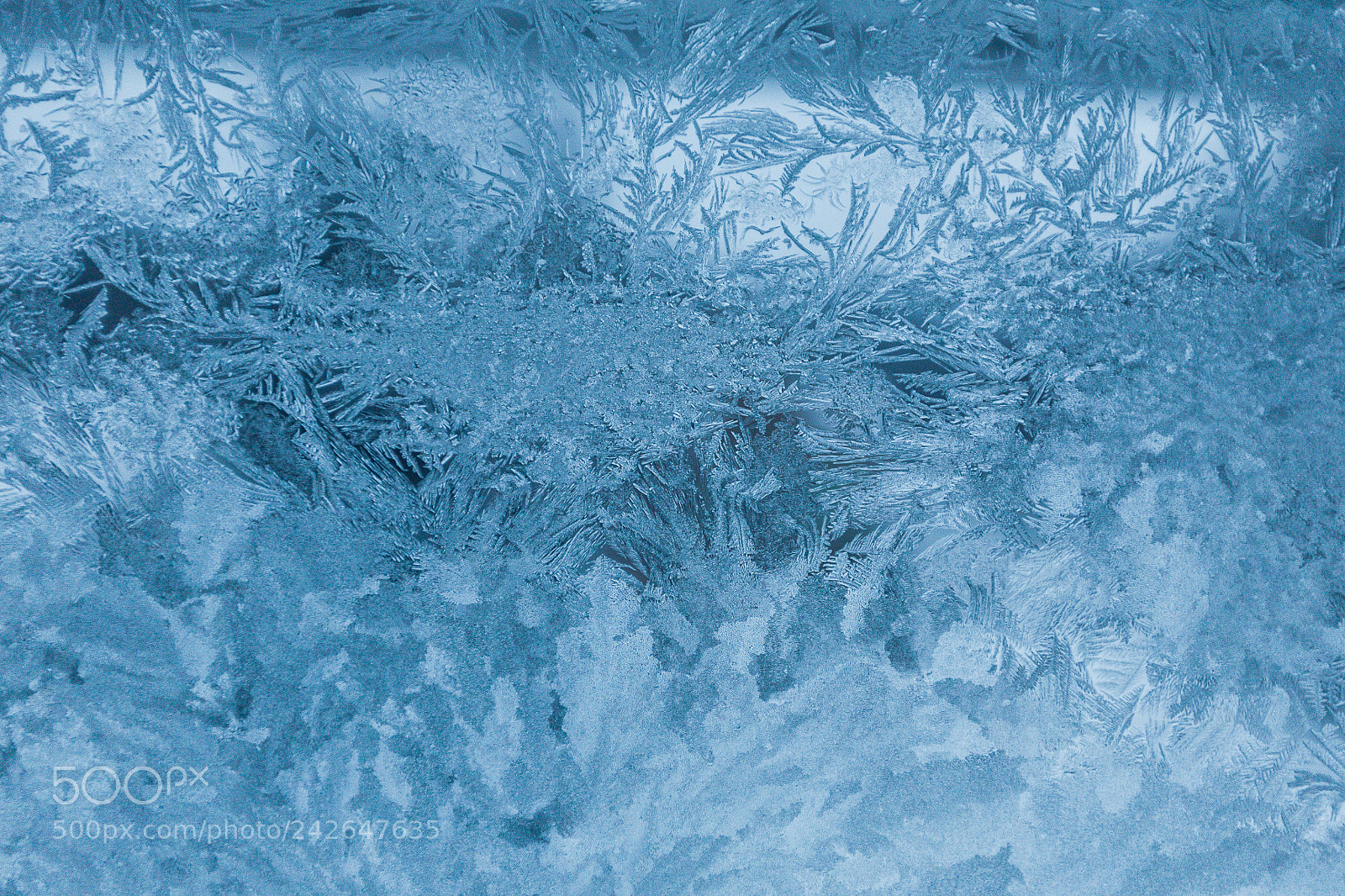 Canon EOS 5D sample photo. Abstraction frosty pattern glass photography