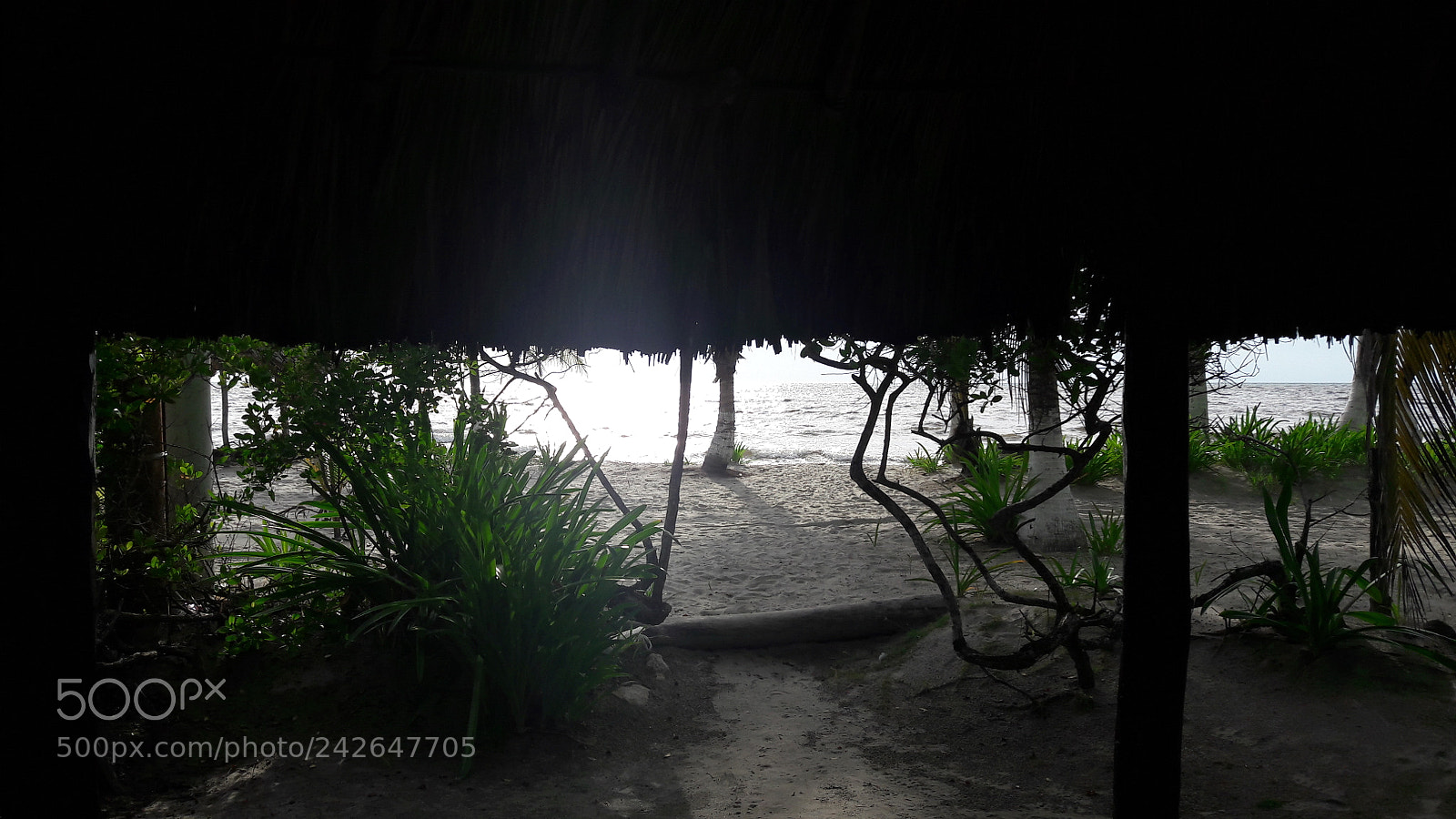 Samsung Galaxy A5(2016) sample photo. 20170616_164320.jpg photography