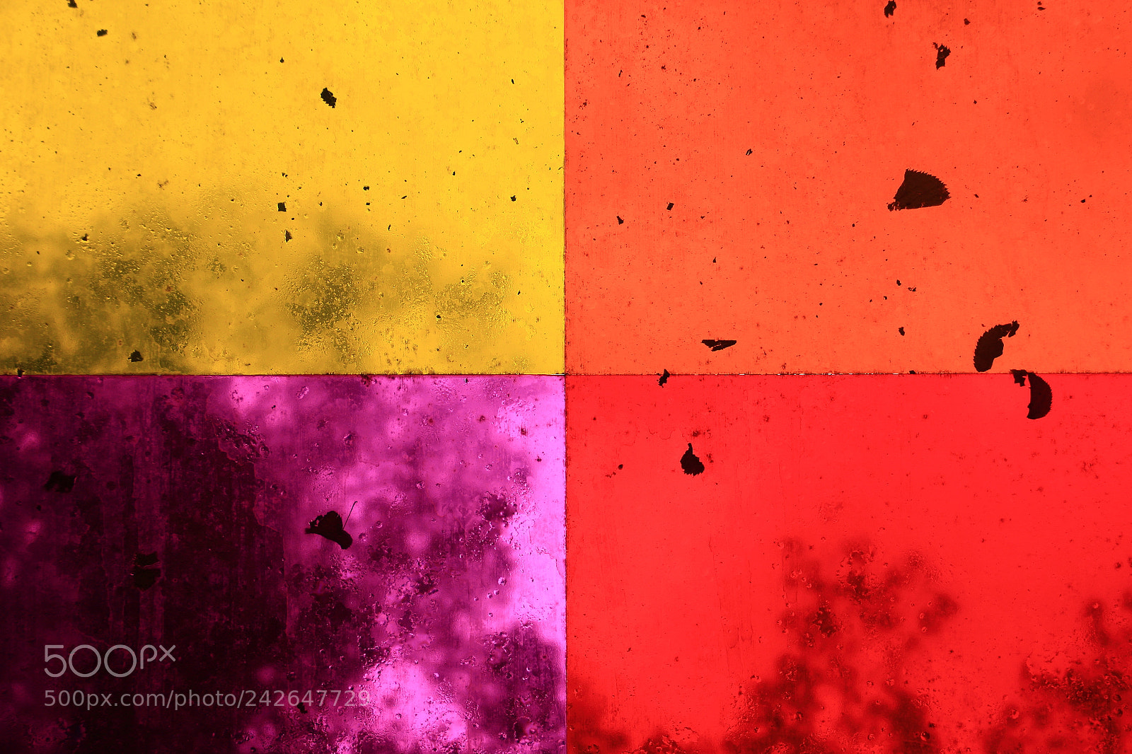 Canon EF-S 18-135mm F3.5-5.6 IS sample photo. Life in colours photography