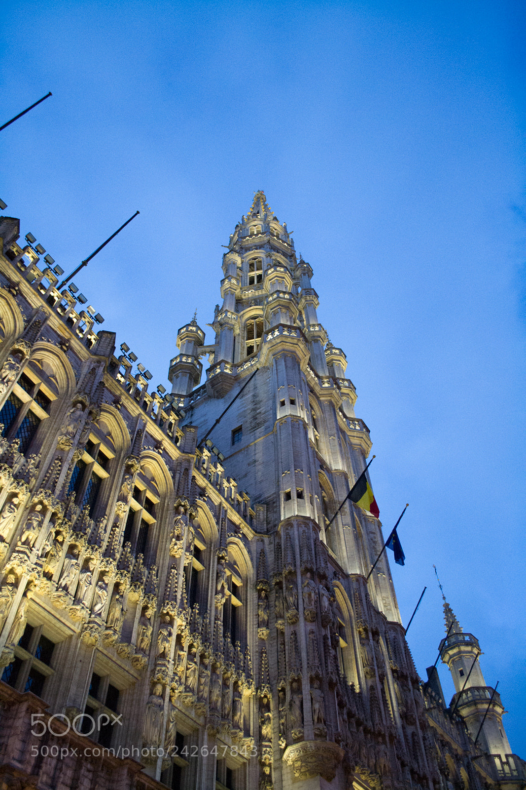 Nikon D3100 sample photo. Brussel's grand place photography