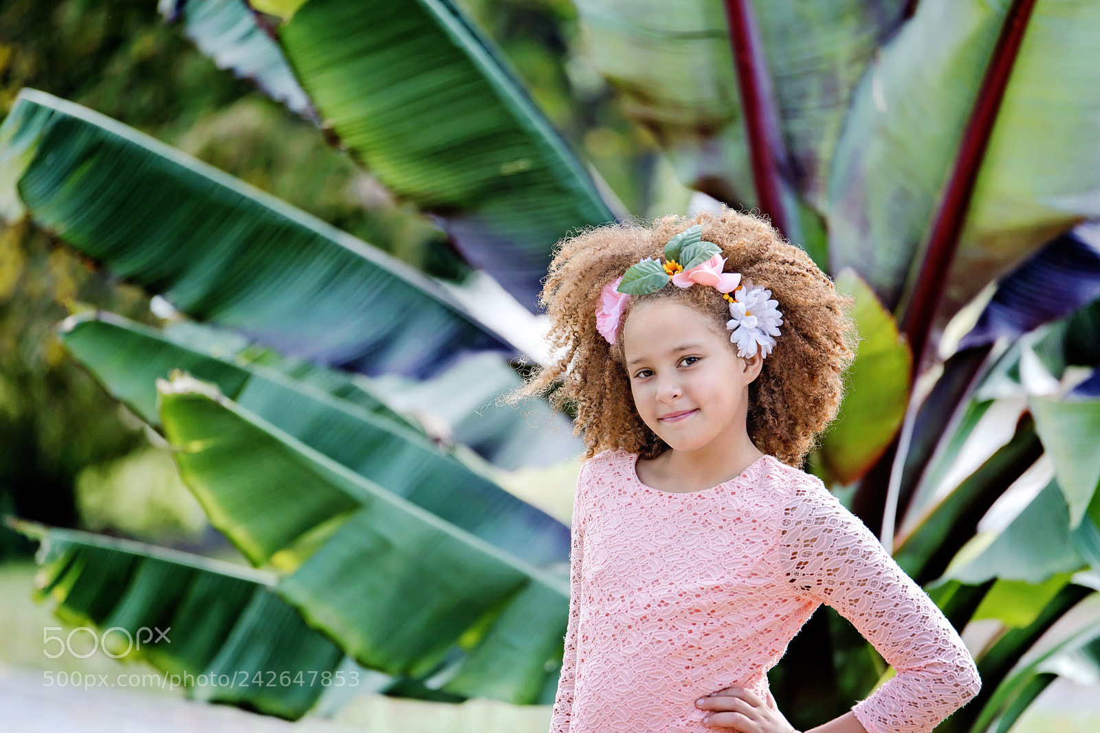 Nikon D800 sample photo. Show some sass photography