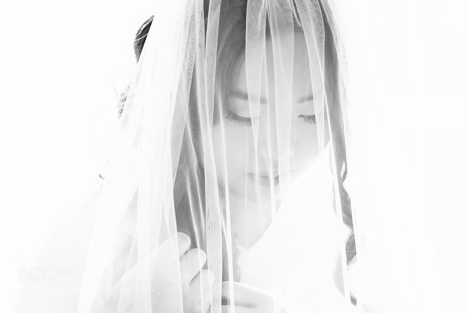 Nikon D800 sample photo. Shimmering beauty photography