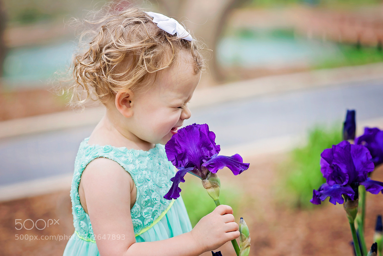 Nikon D800 sample photo. Smell you later photography