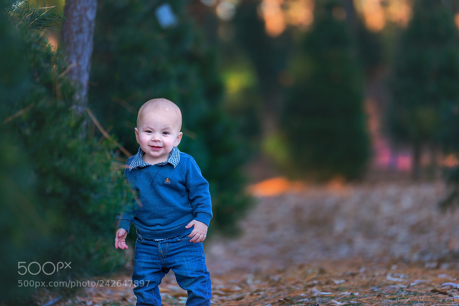 Nikon D800 sample photo. Come find me photography
