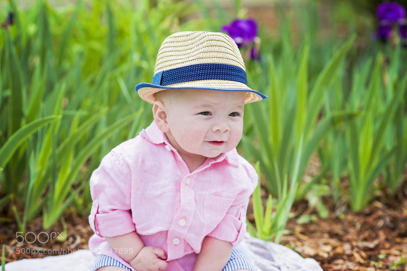 Nikon D800 sample photo. Dapper boy photography