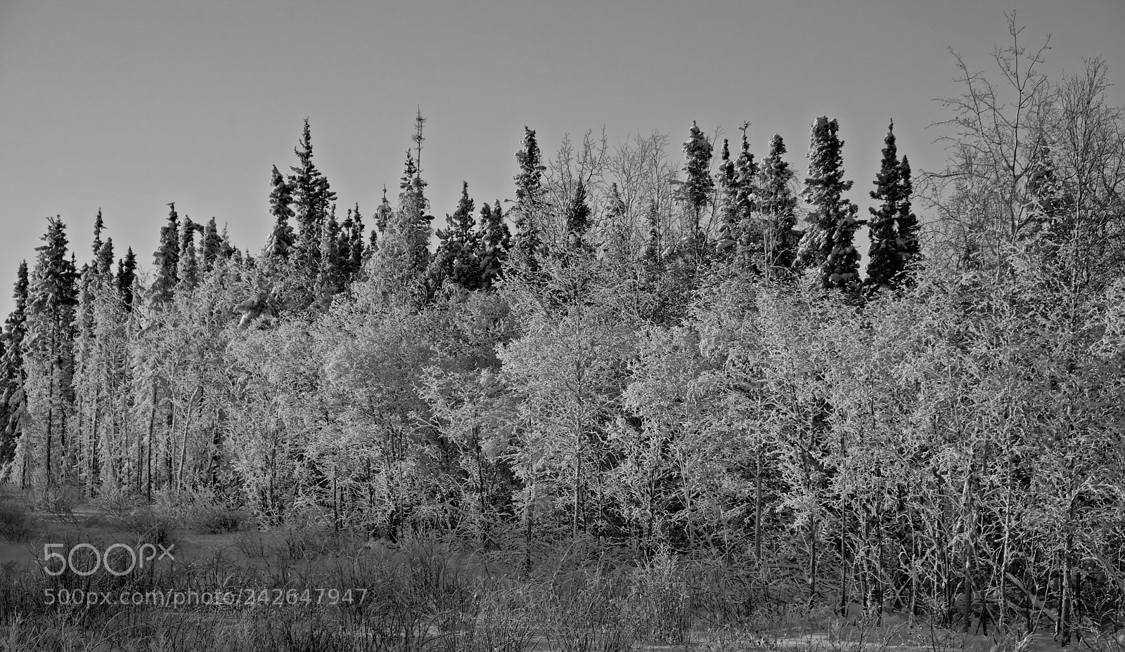 Fujifilm X-T2 sample photo. Yellowknife photography