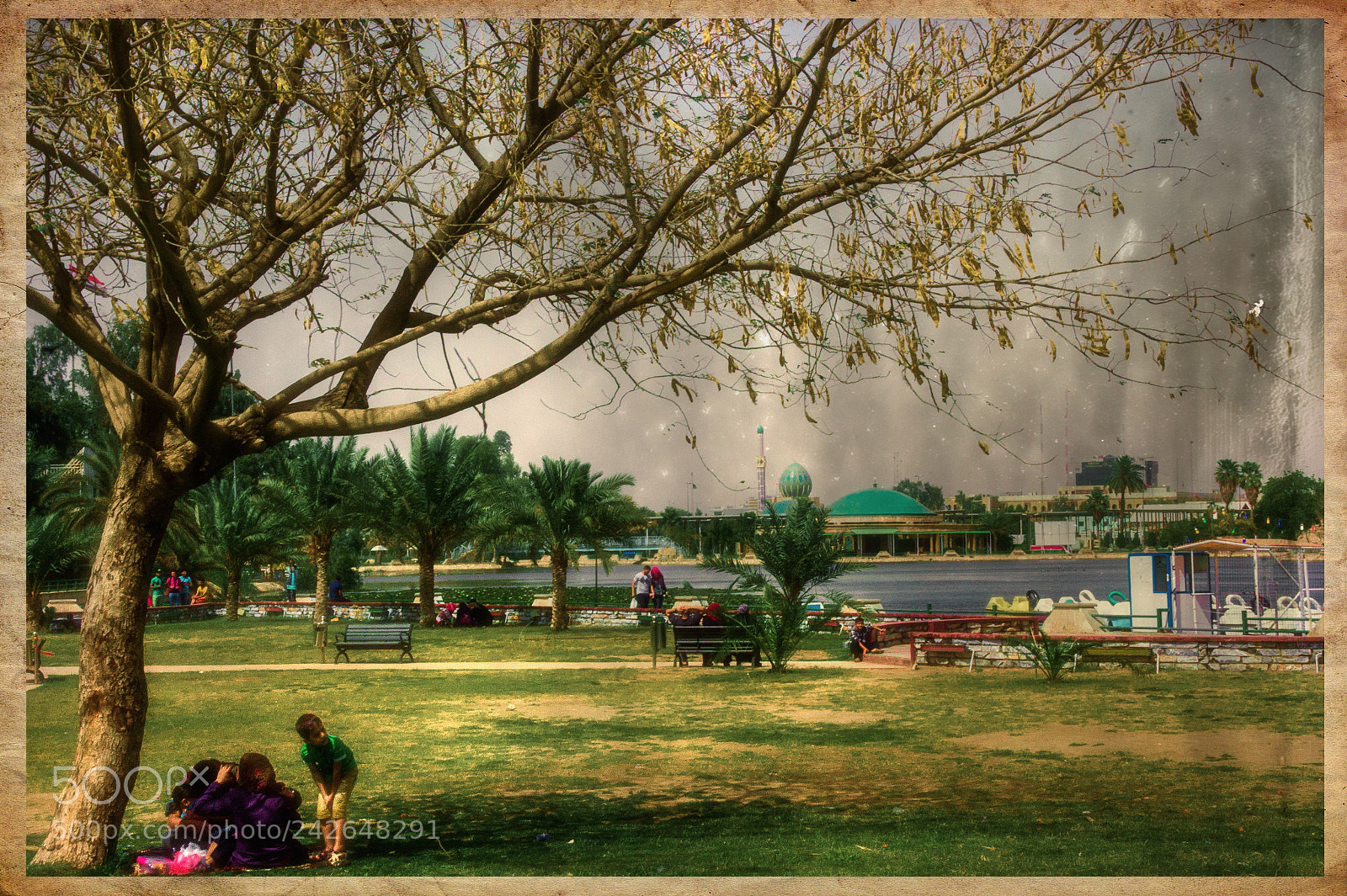 Sony Alpha DSLR-A350 sample photo. Picnic in the park photography