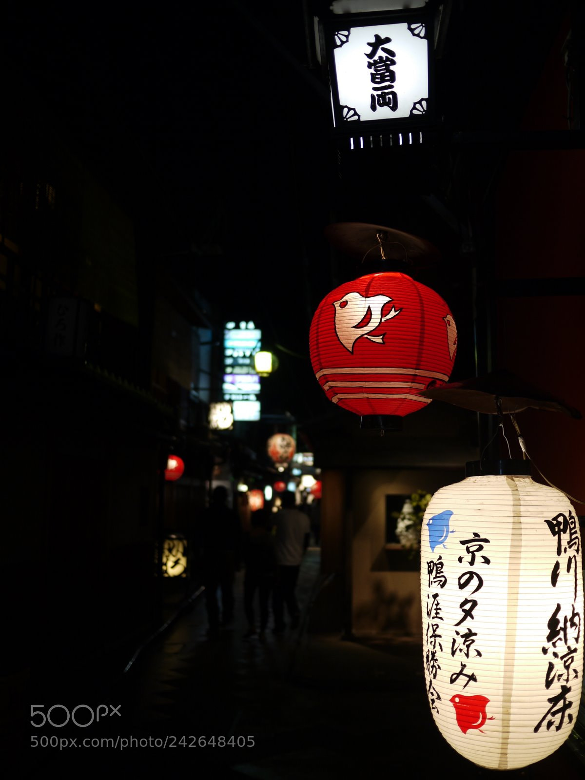 Panasonic Lumix DMC-GF1 sample photo. Japon 2010 - tokyo photography