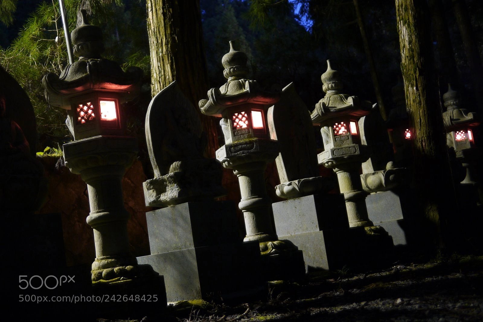 Panasonic Lumix DMC-GF1 sample photo. Japon 2010 - tokyo photography