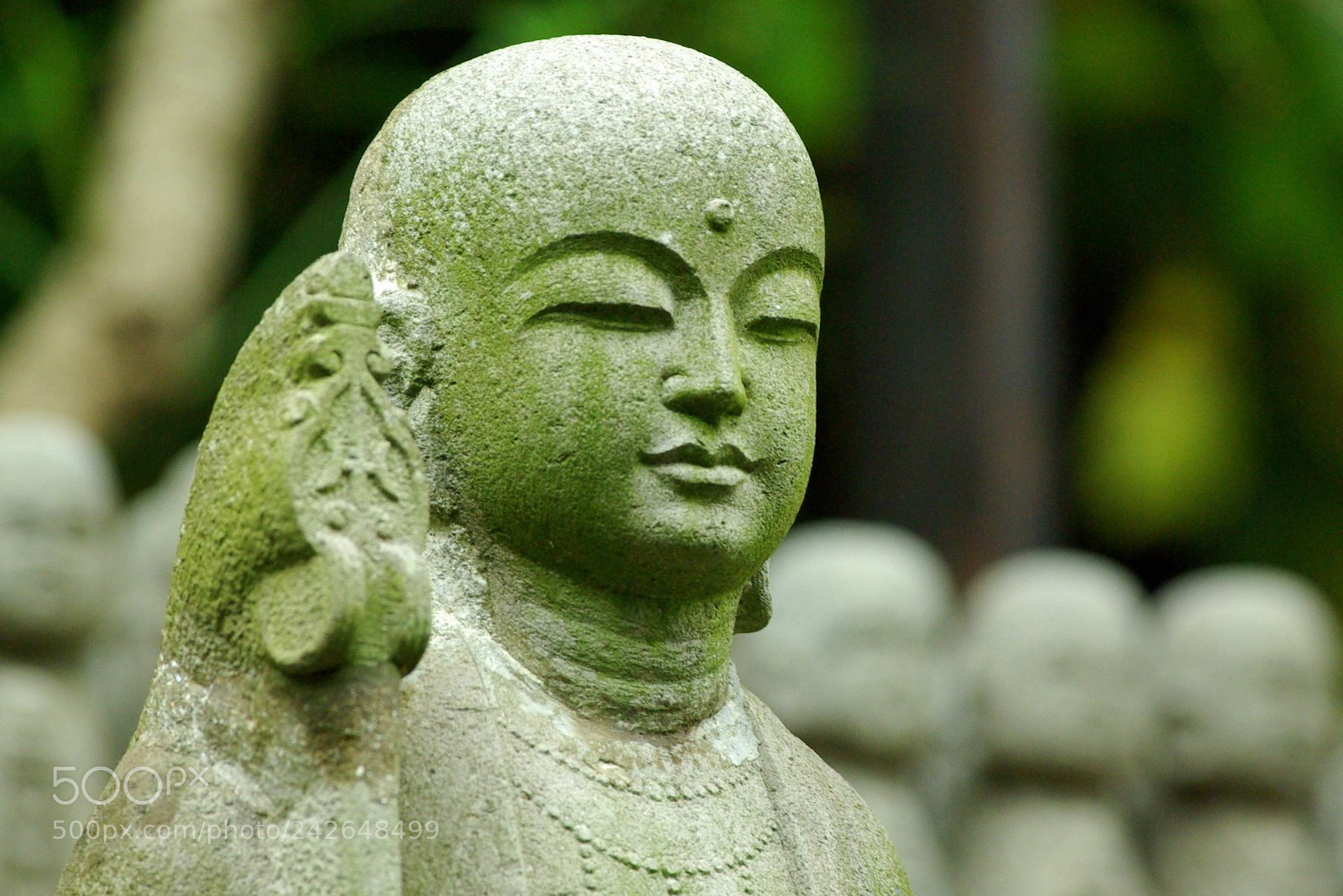 Pentax K10D sample photo. Japon 2010 - tokyo photography