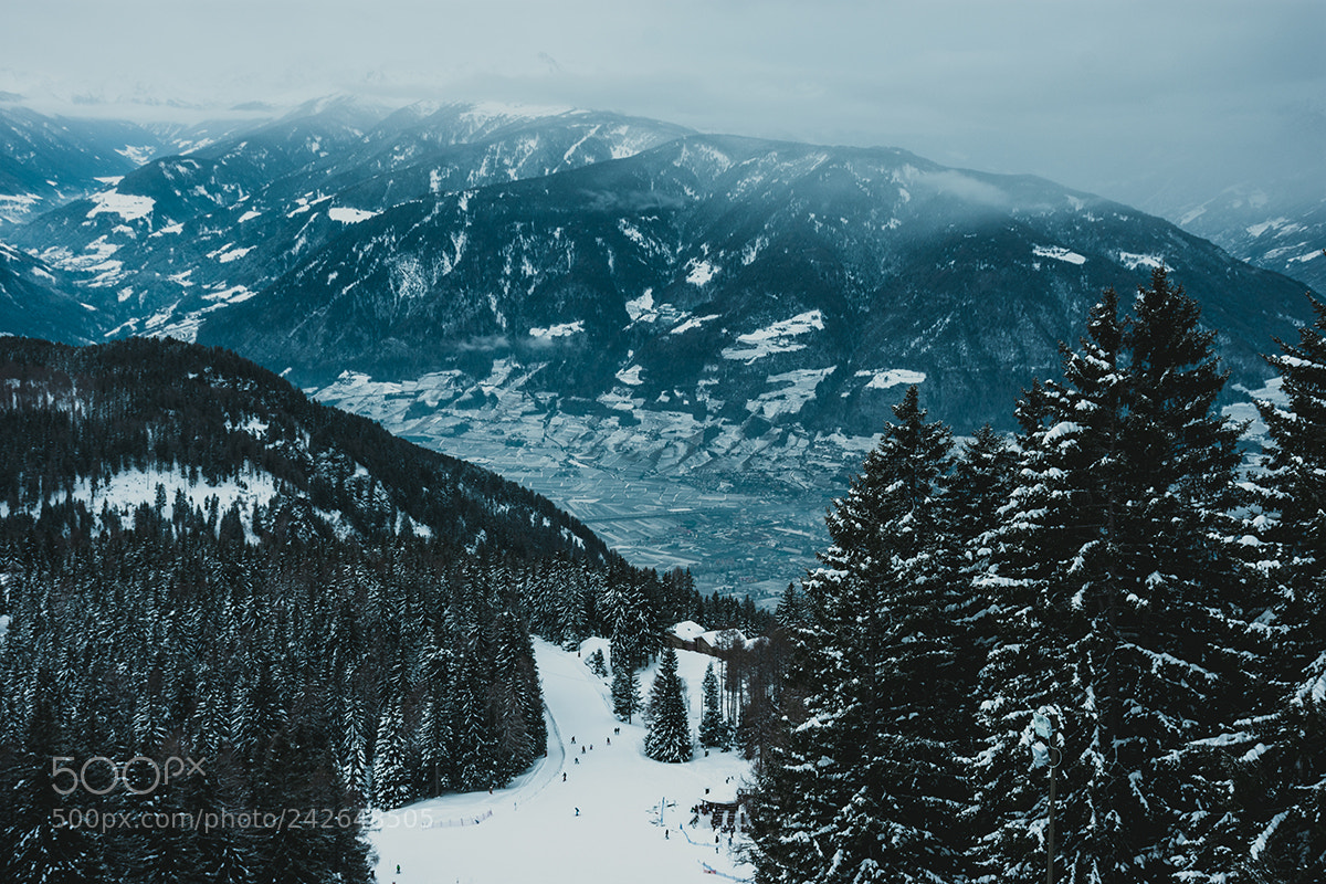 Nikon D7200 sample photo. Winter has come photography