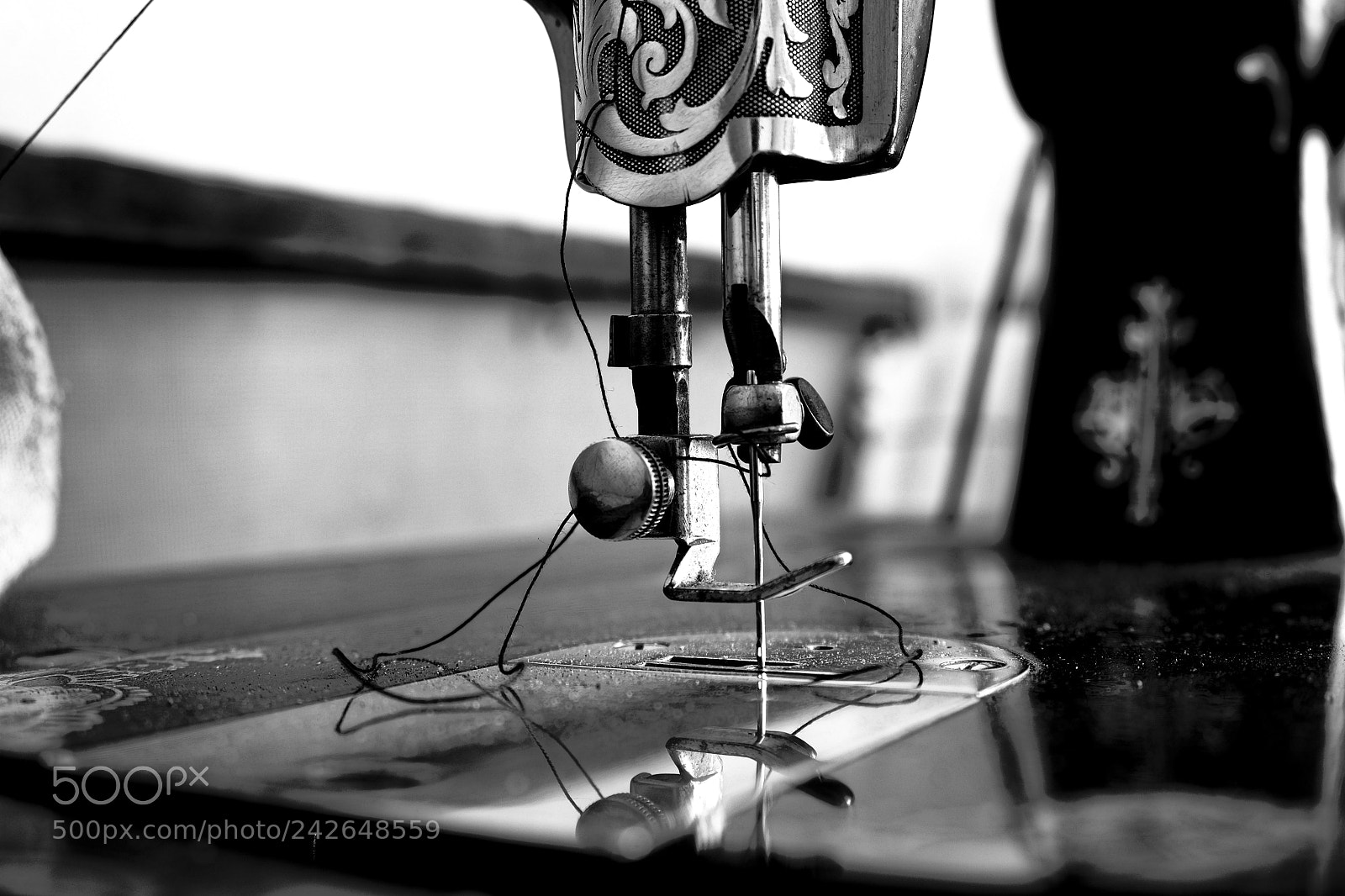 Fujifilm X-T10 sample photo. Needle and thread photography