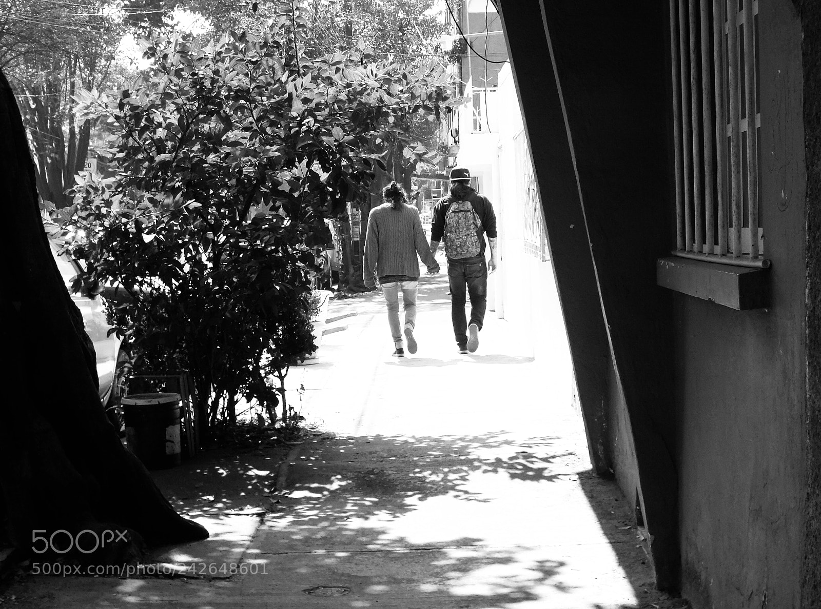 FujiFilm FinePix HS20 EXR (FinePix HS22 EXR) sample photo. Love is in the photography