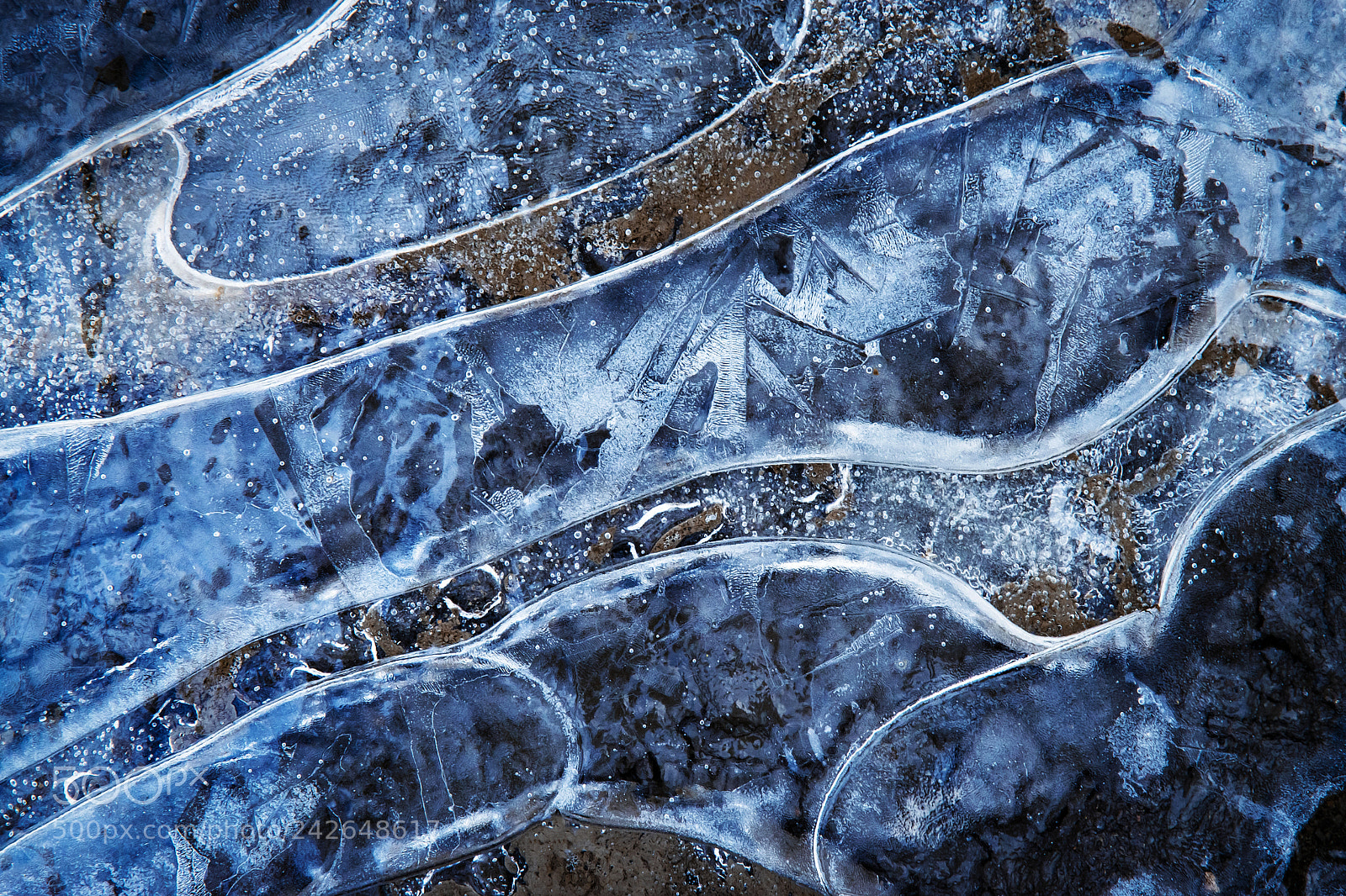 Nikon D5500 sample photo. Frozen water level photography