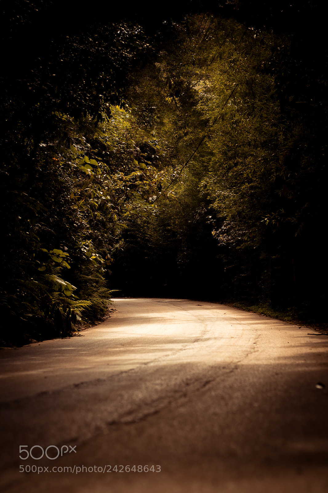 Canon EOS M3 sample photo. Estrada photography