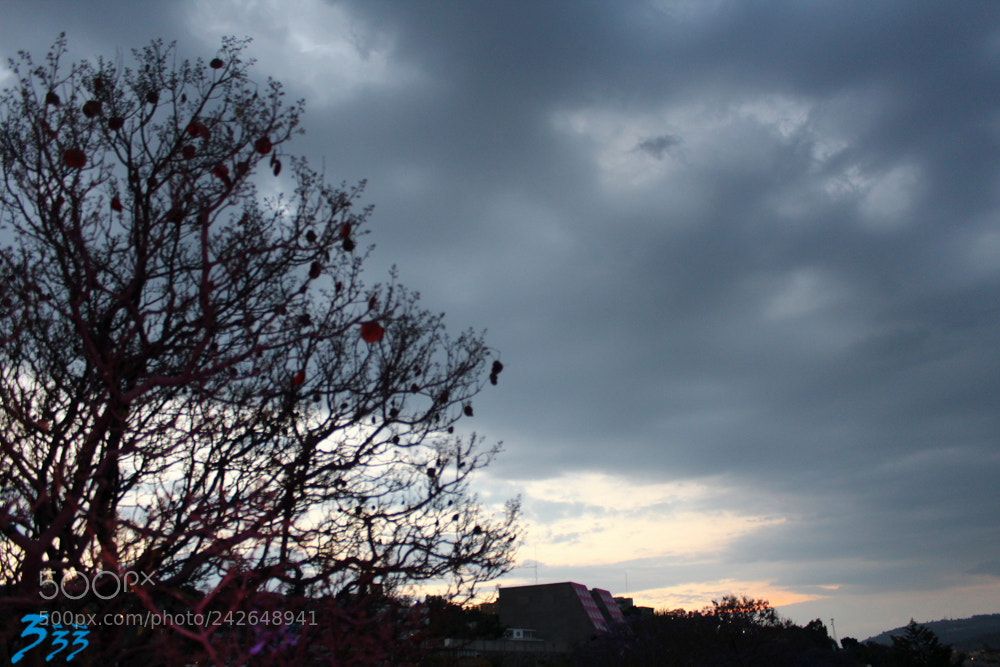 Canon EOS 1200D (EOS Rebel T5 / EOS Kiss X70 / EOS Hi) sample photo. Tallerwil photography