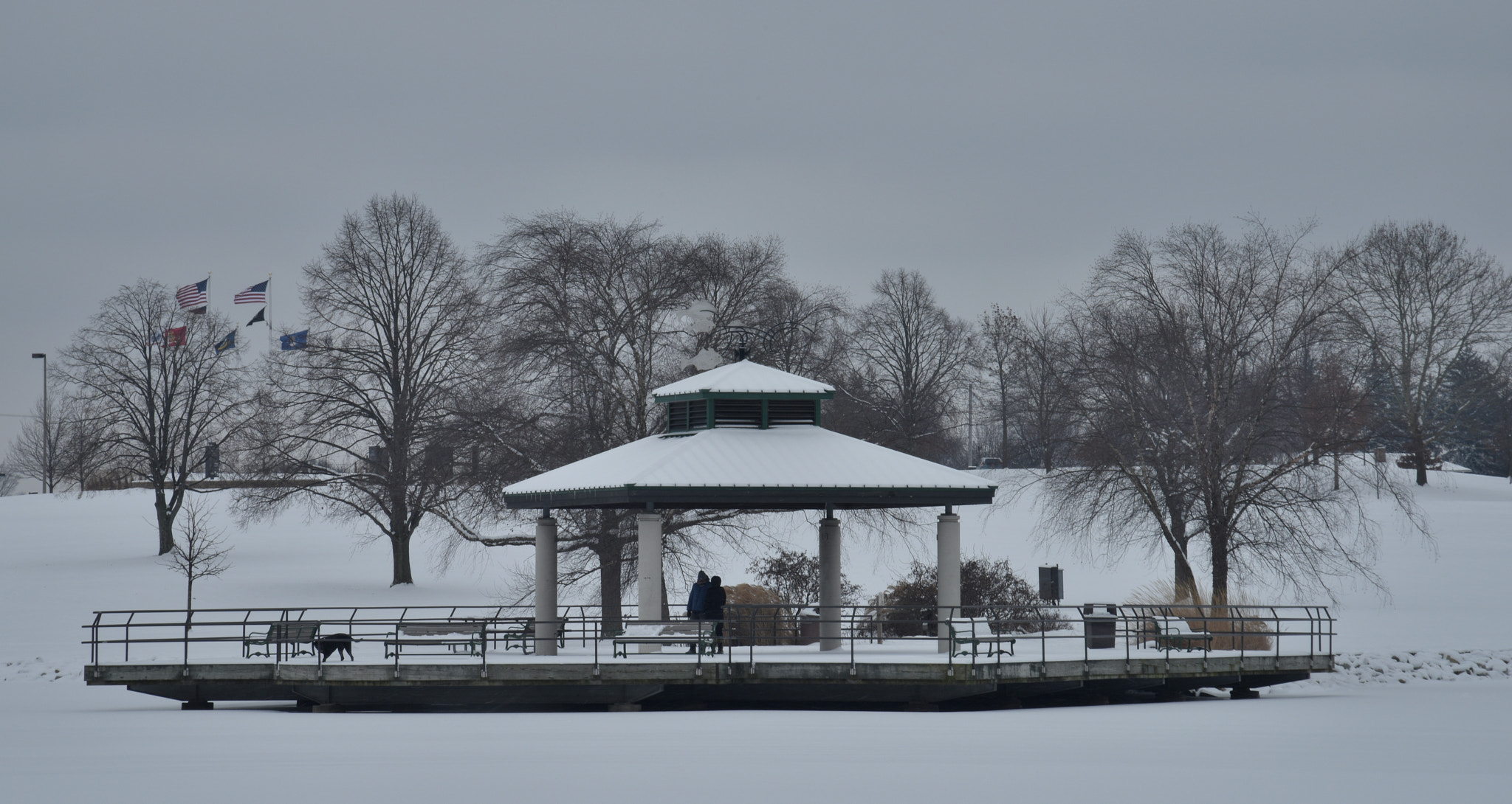 Nikon AF-S Nikkor 24-120mm F4G ED VR sample photo. Delco park photography