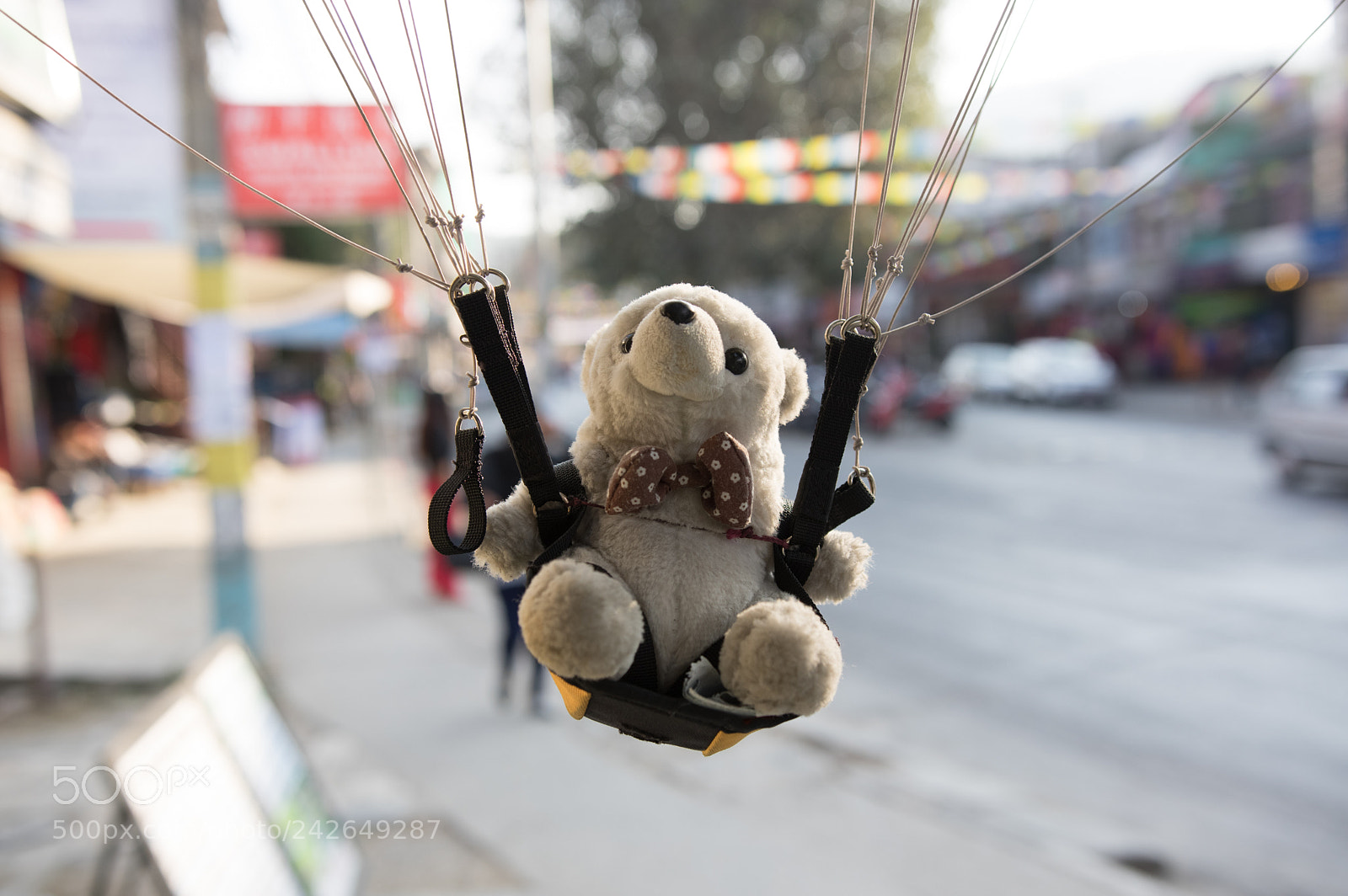 Pentax K-3 sample photo. Unbearably cute photography